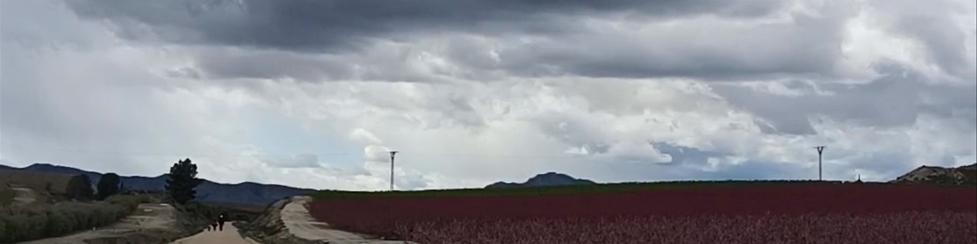 Inicio Via Verde Floración Cieza