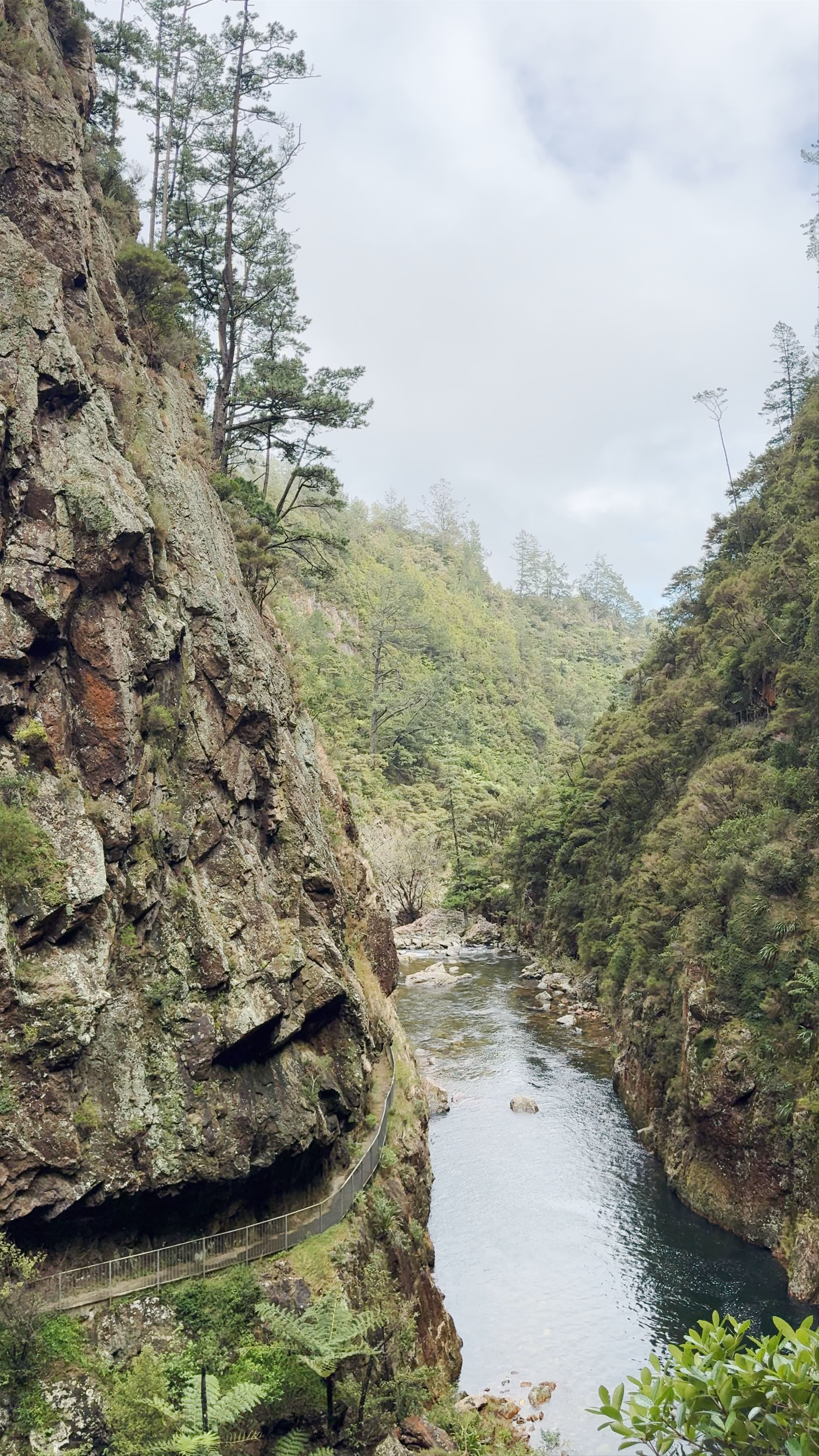 Karangahake gorge State Highway 2