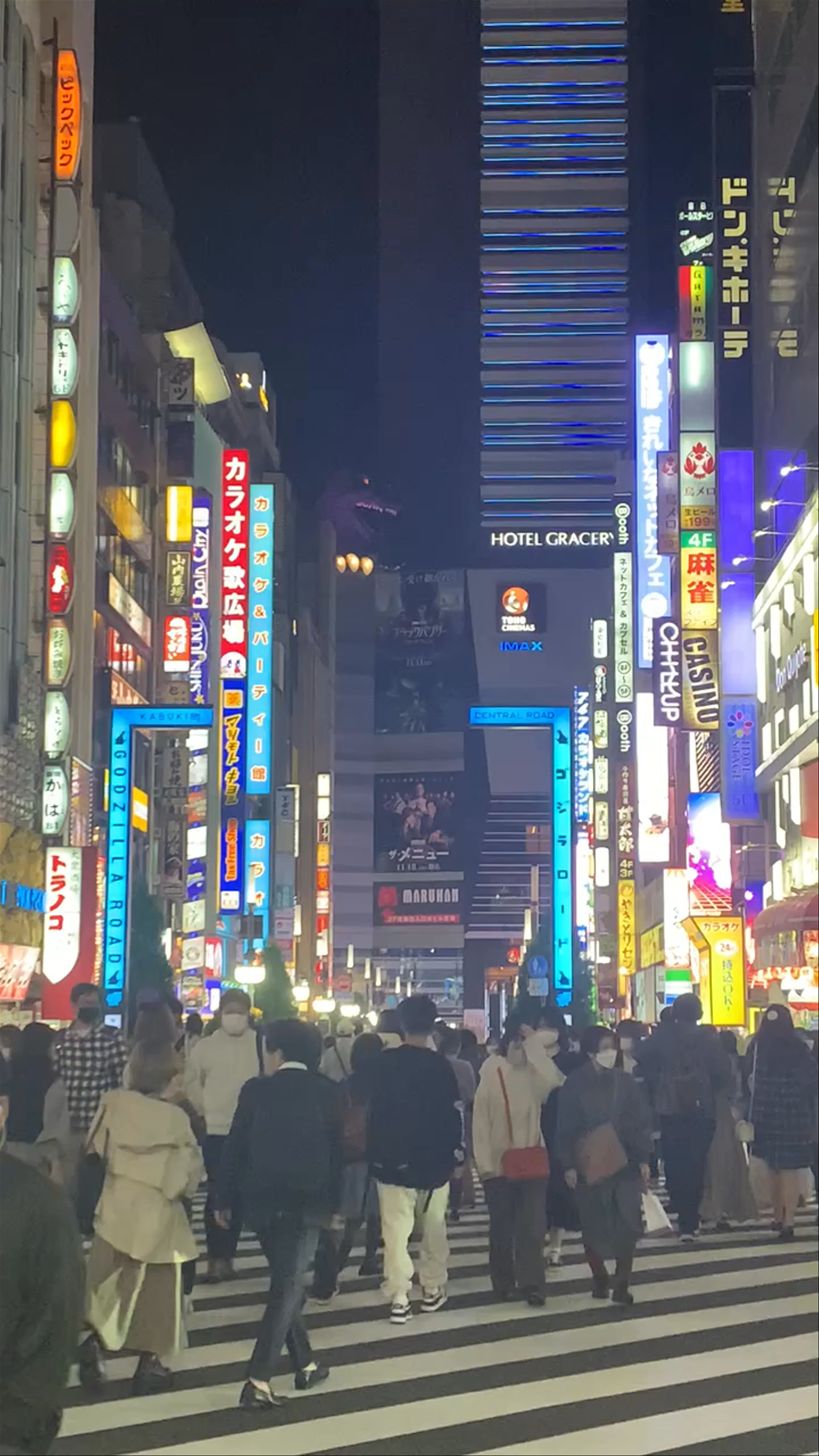 Nightlife Vibes at Omoide Yokochō, Shinjuku, Tokyo