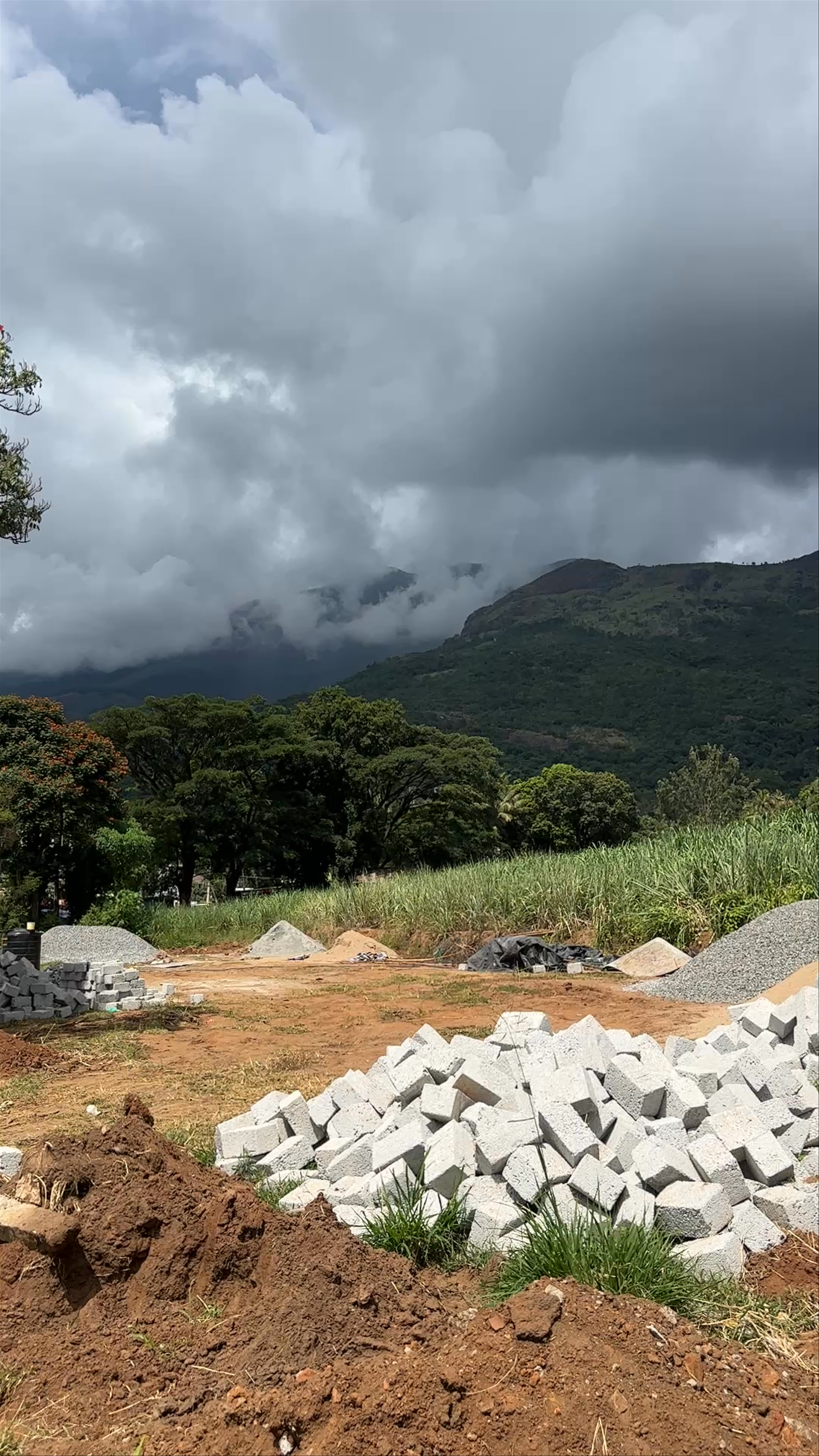 Marayoor Sandalwood Forest