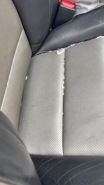 Street Dreams Detailing - Auto Detailing Near Me - Mesa, Arizona