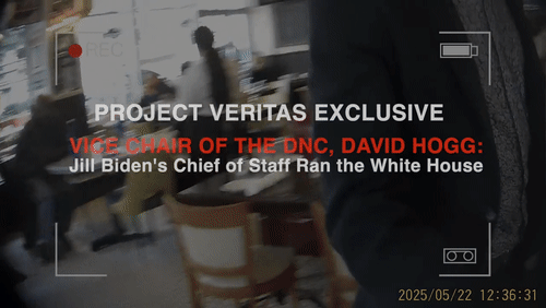 Video Thumbnail Loop