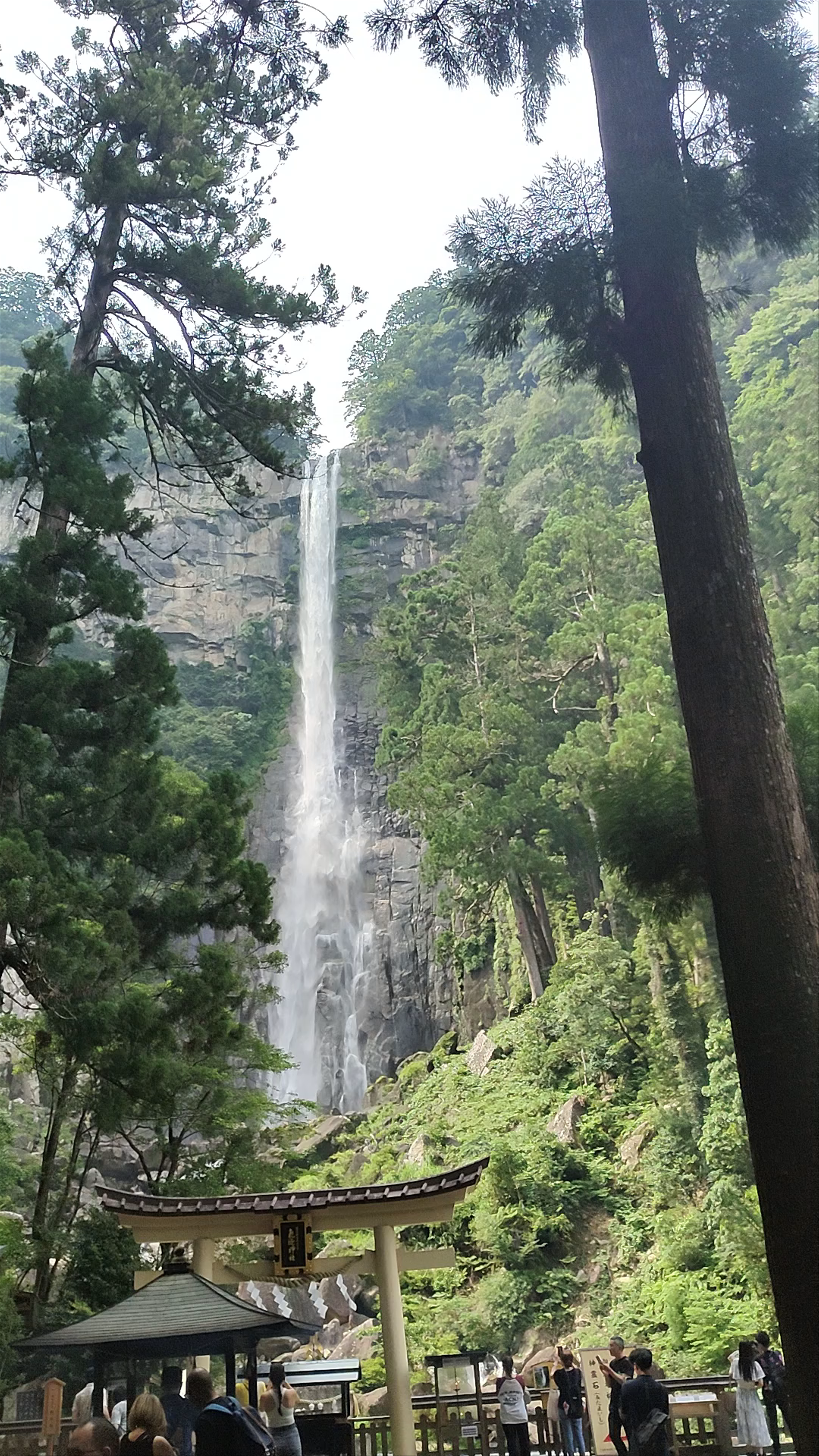 Nachi Waterfall: Japan's Majestic Sacred Cascade in Wakayama