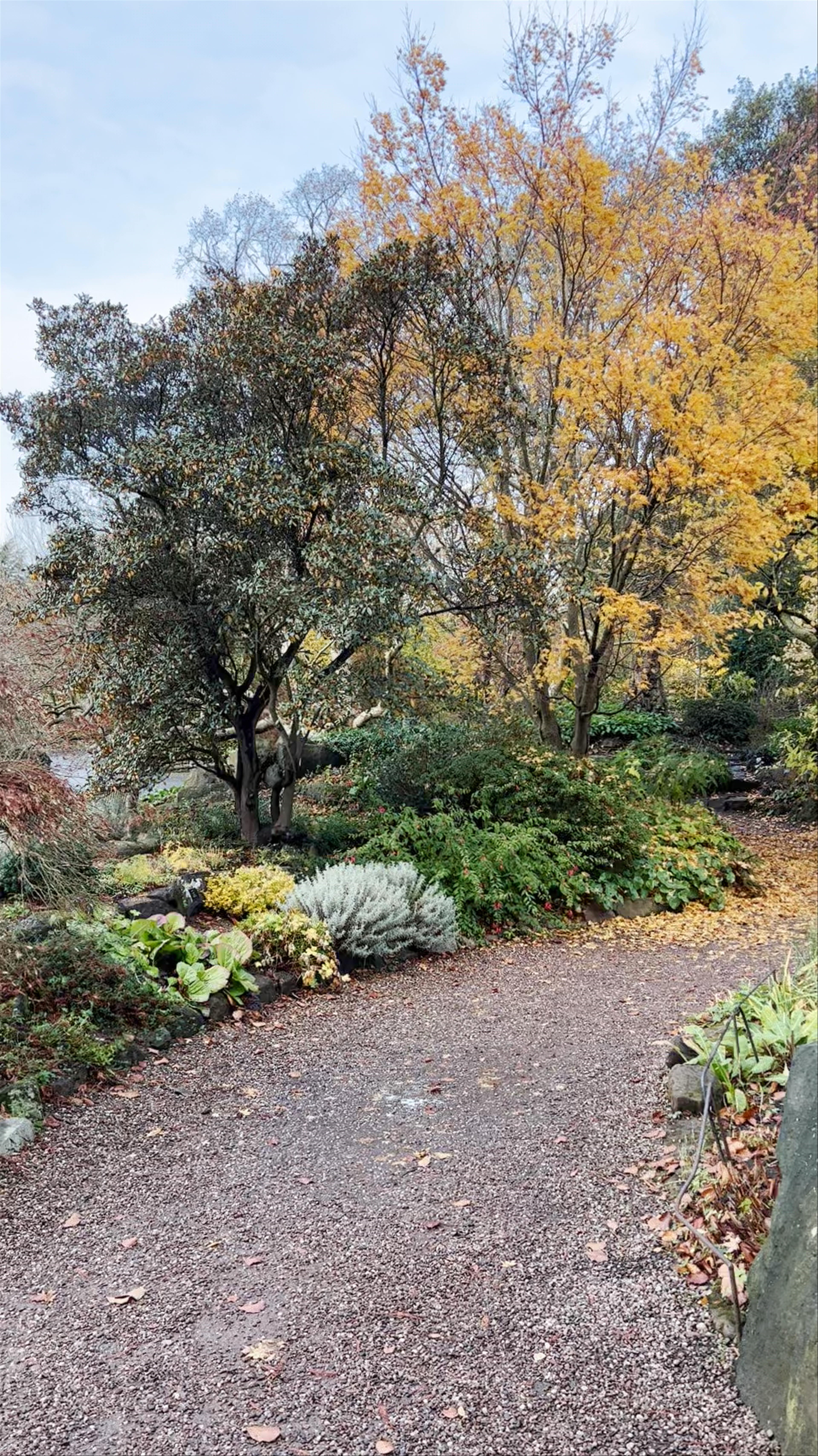 Botanical Gardens