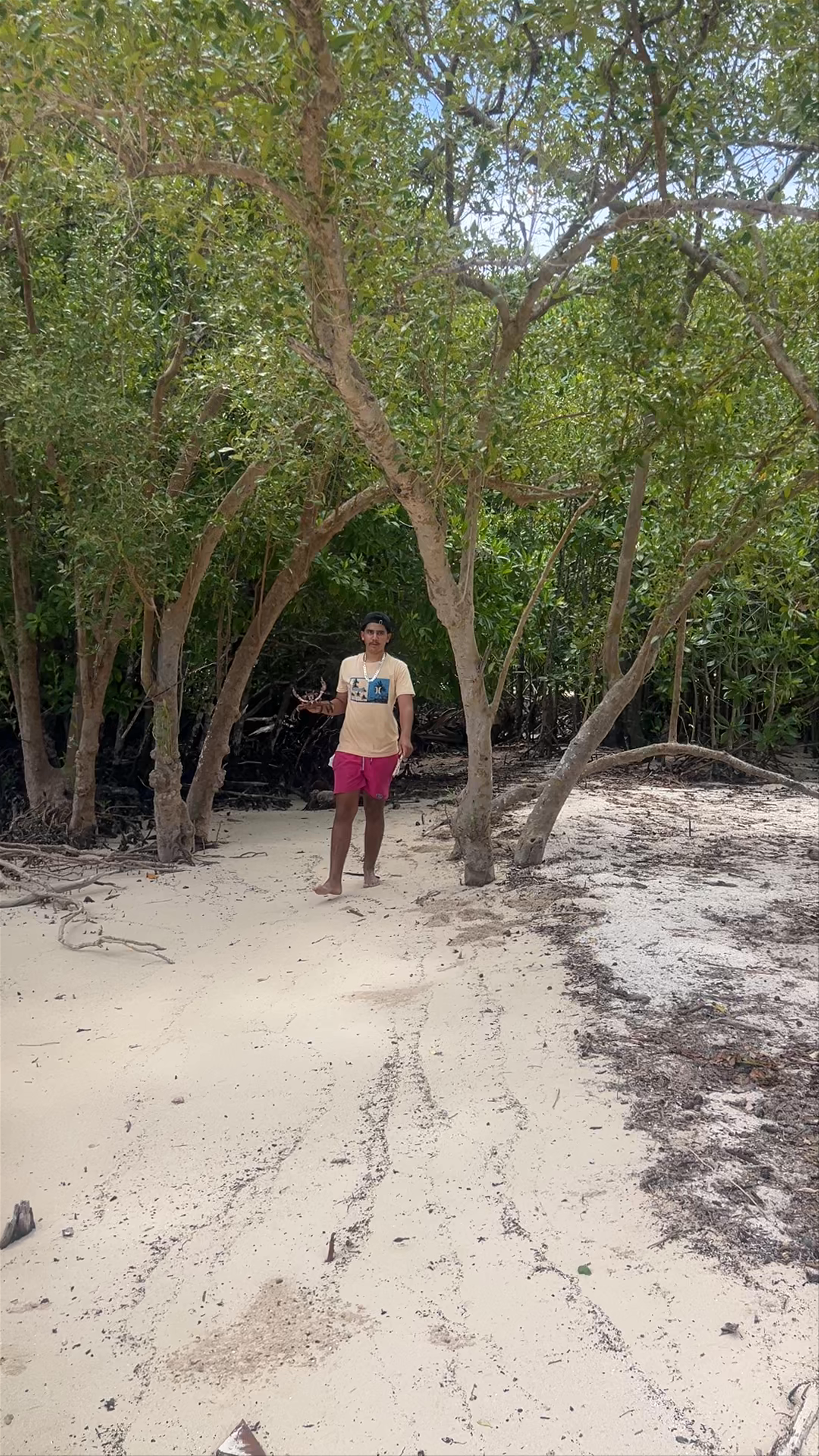 Curieuse Island Excursions