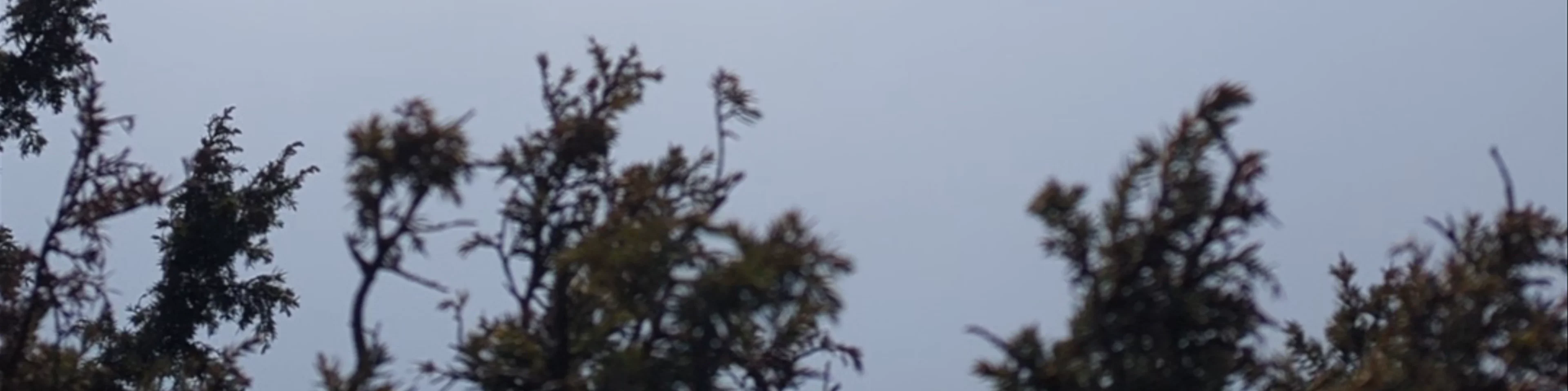 Datashan Lookout