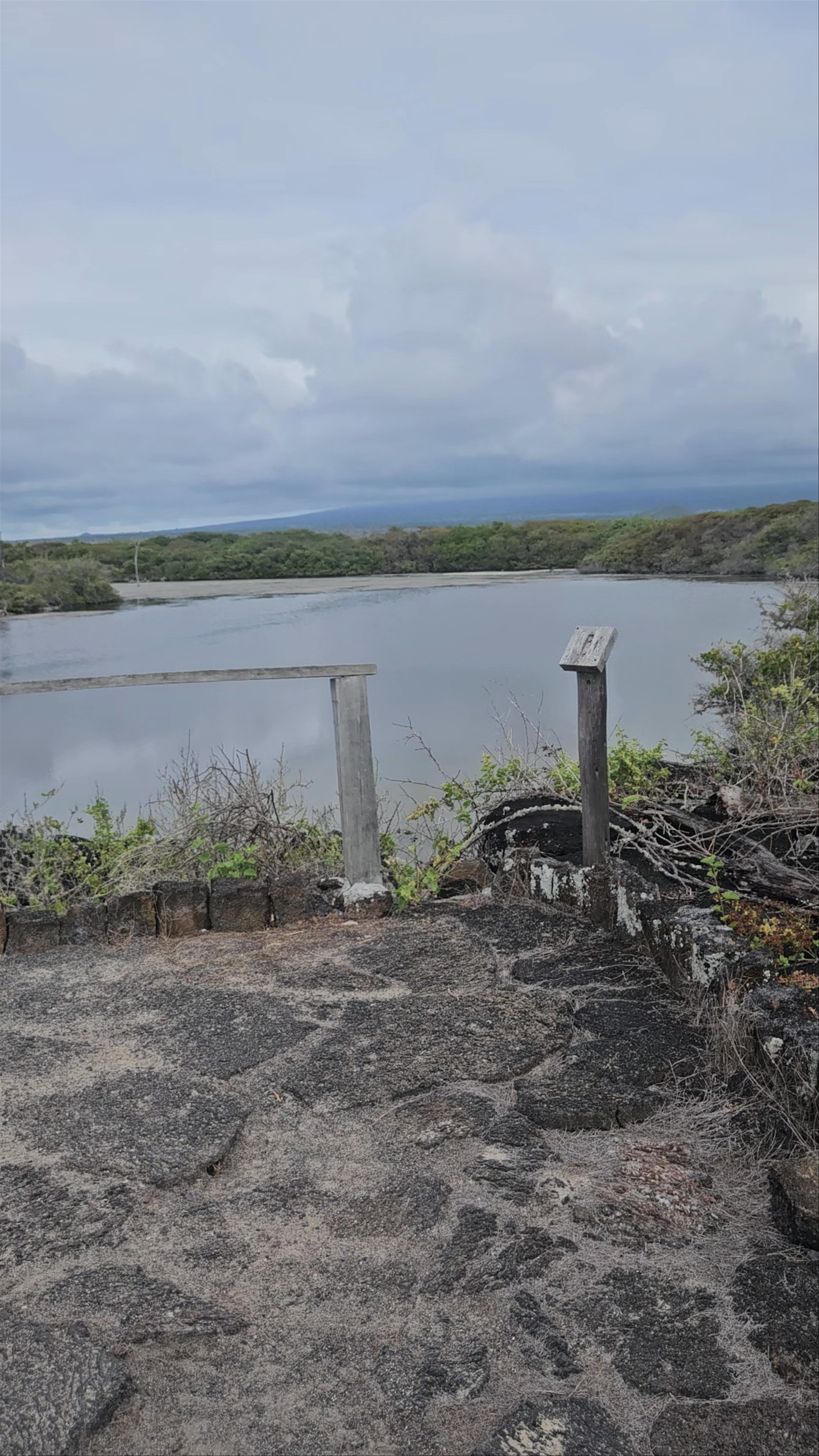 Los Tunos Lagoon: A Serene Natural Oasis in Galápagos