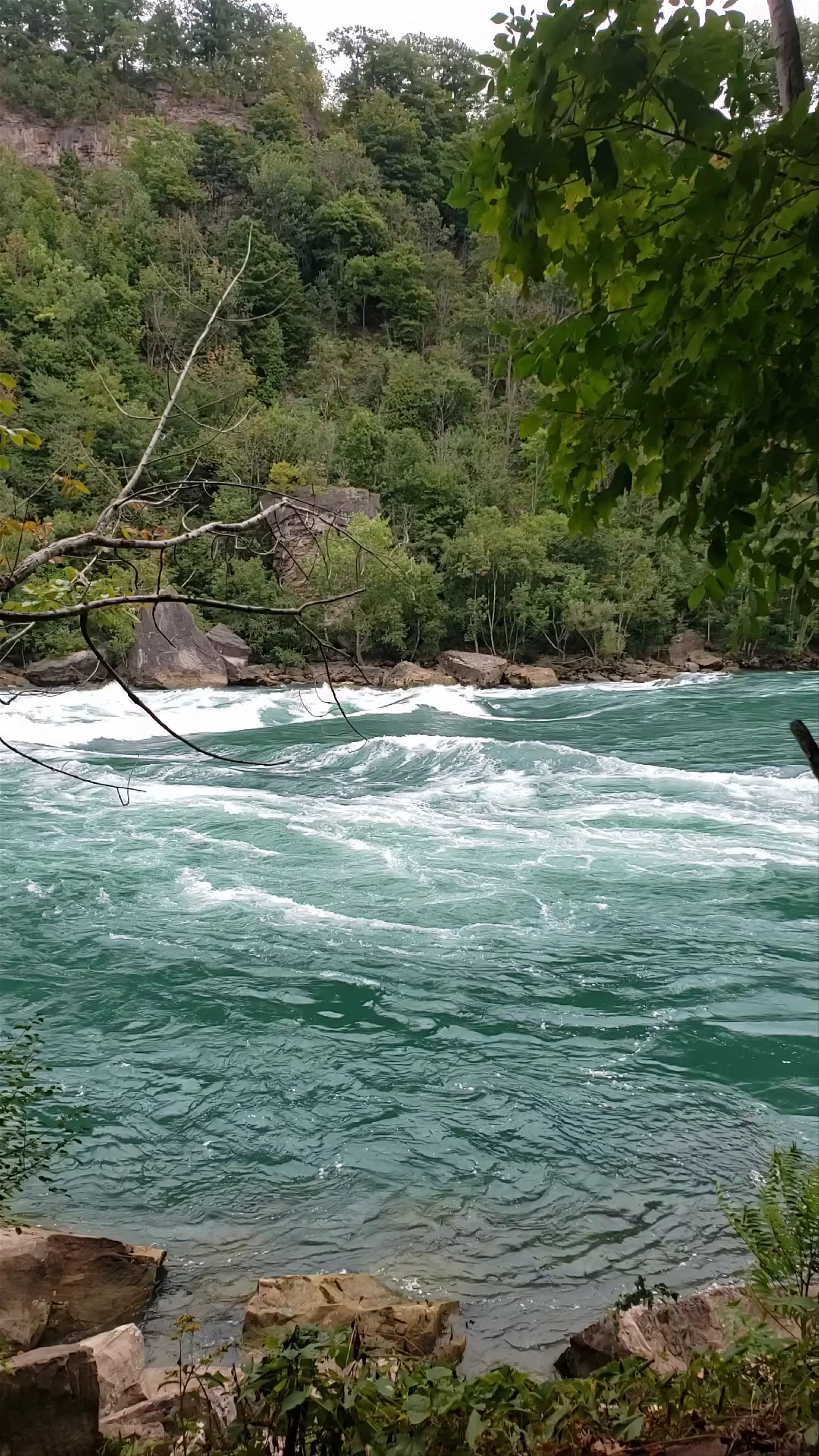 Niagara Glen
