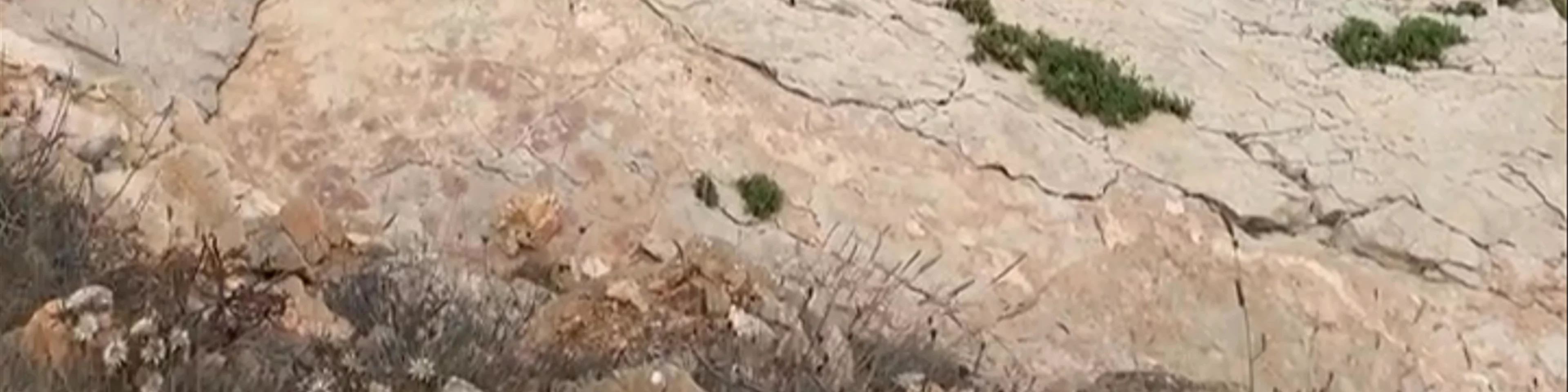 Levanzo