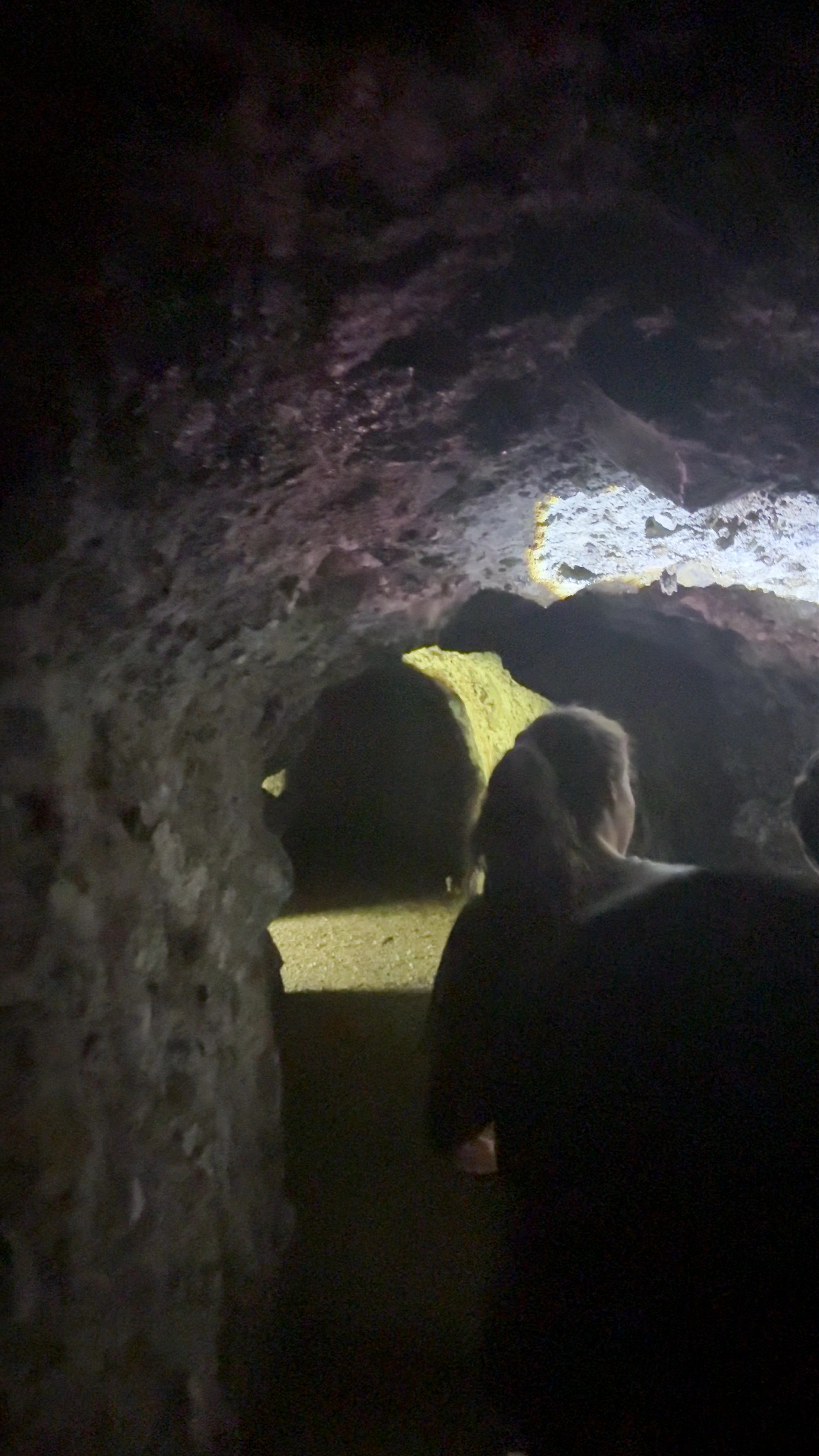 Cueva De Los Murcielagos