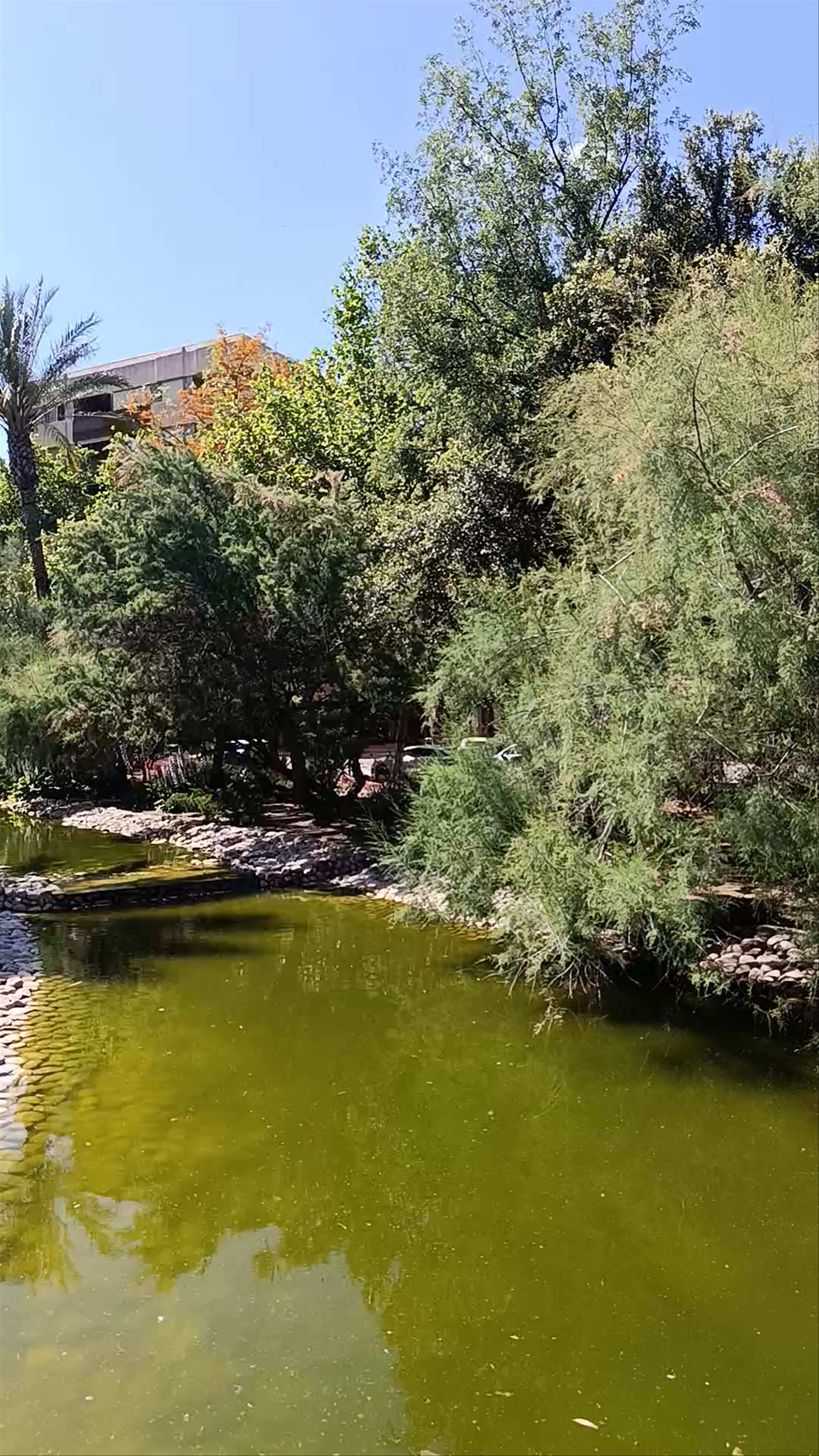 Jardín de la Seda