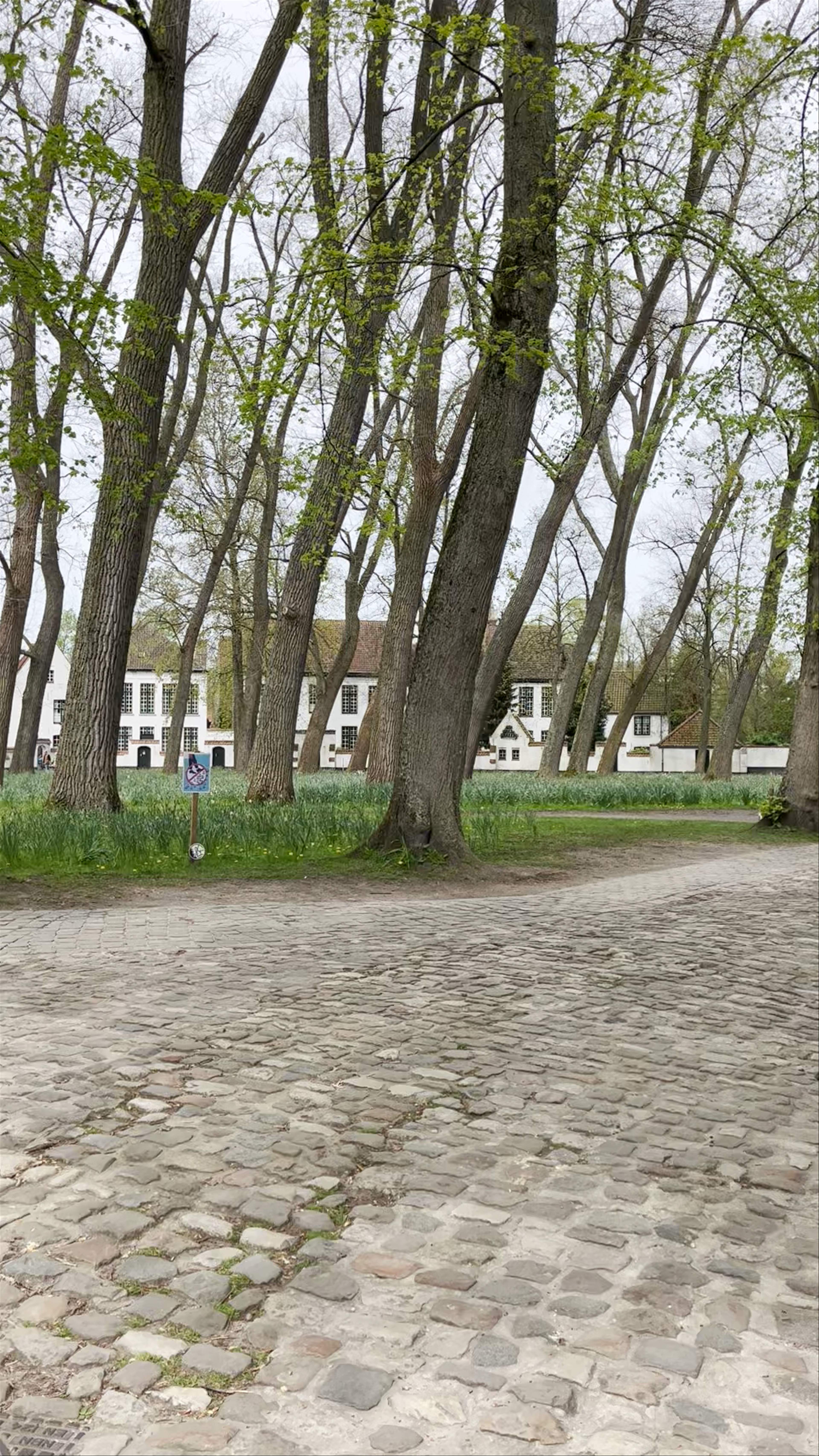 Beguinage "Ten Wijngaerde"