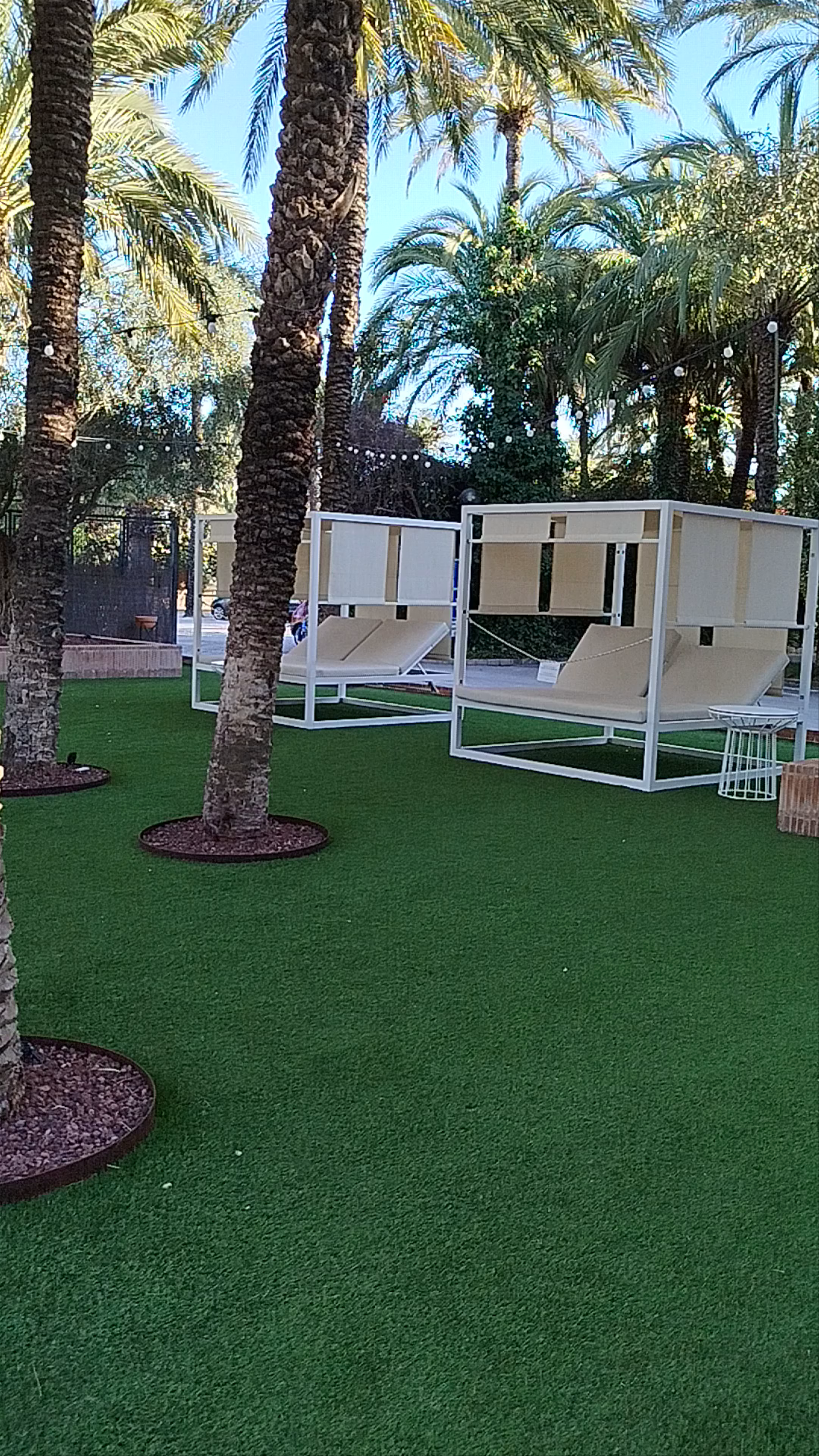 Serene Poolside Oasis at Hotel Port Jardín Milenio in Elche