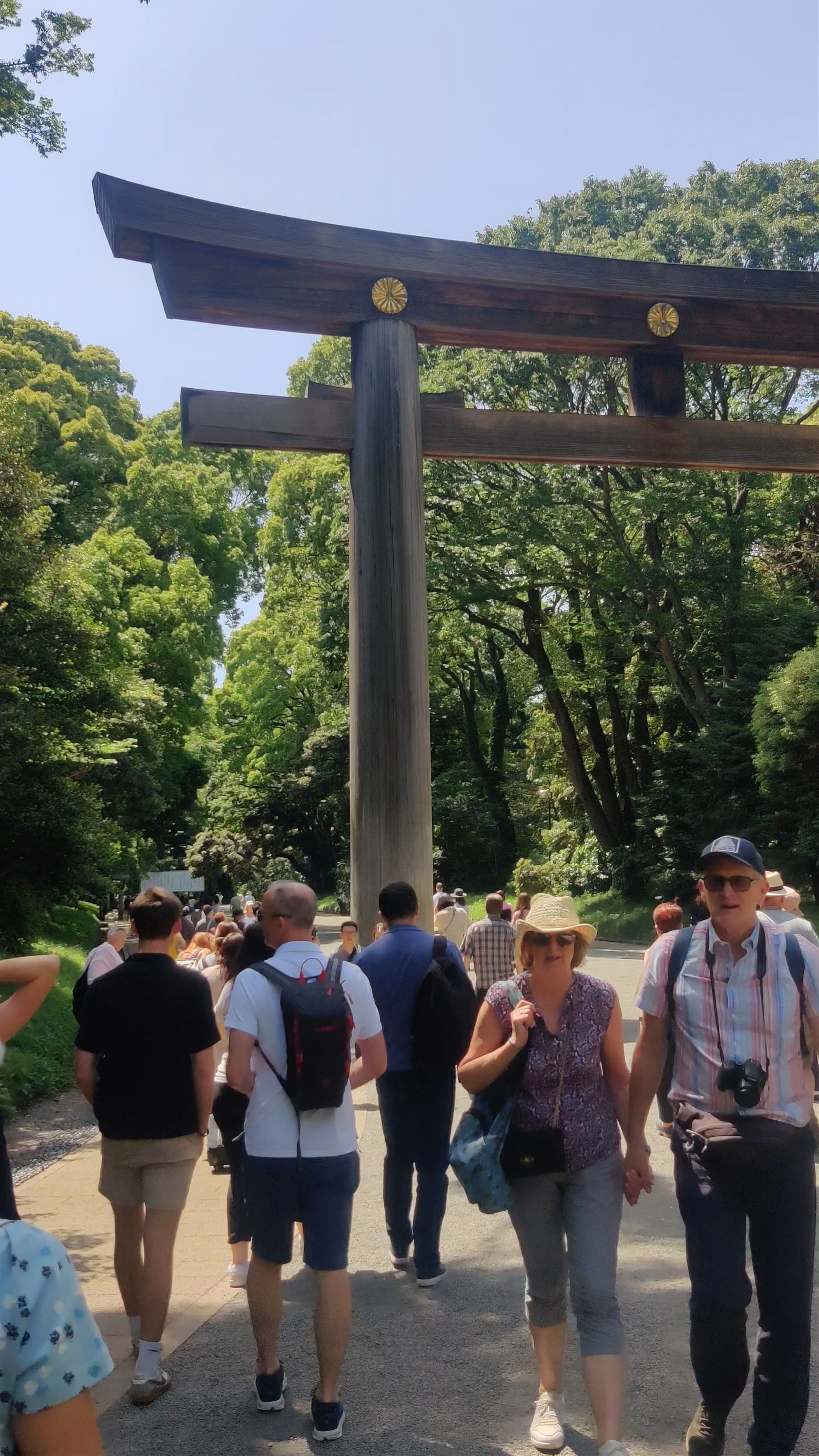 Meiji Jingu Nino Torii: Serene Gateway in Tokyo’s Shibuya