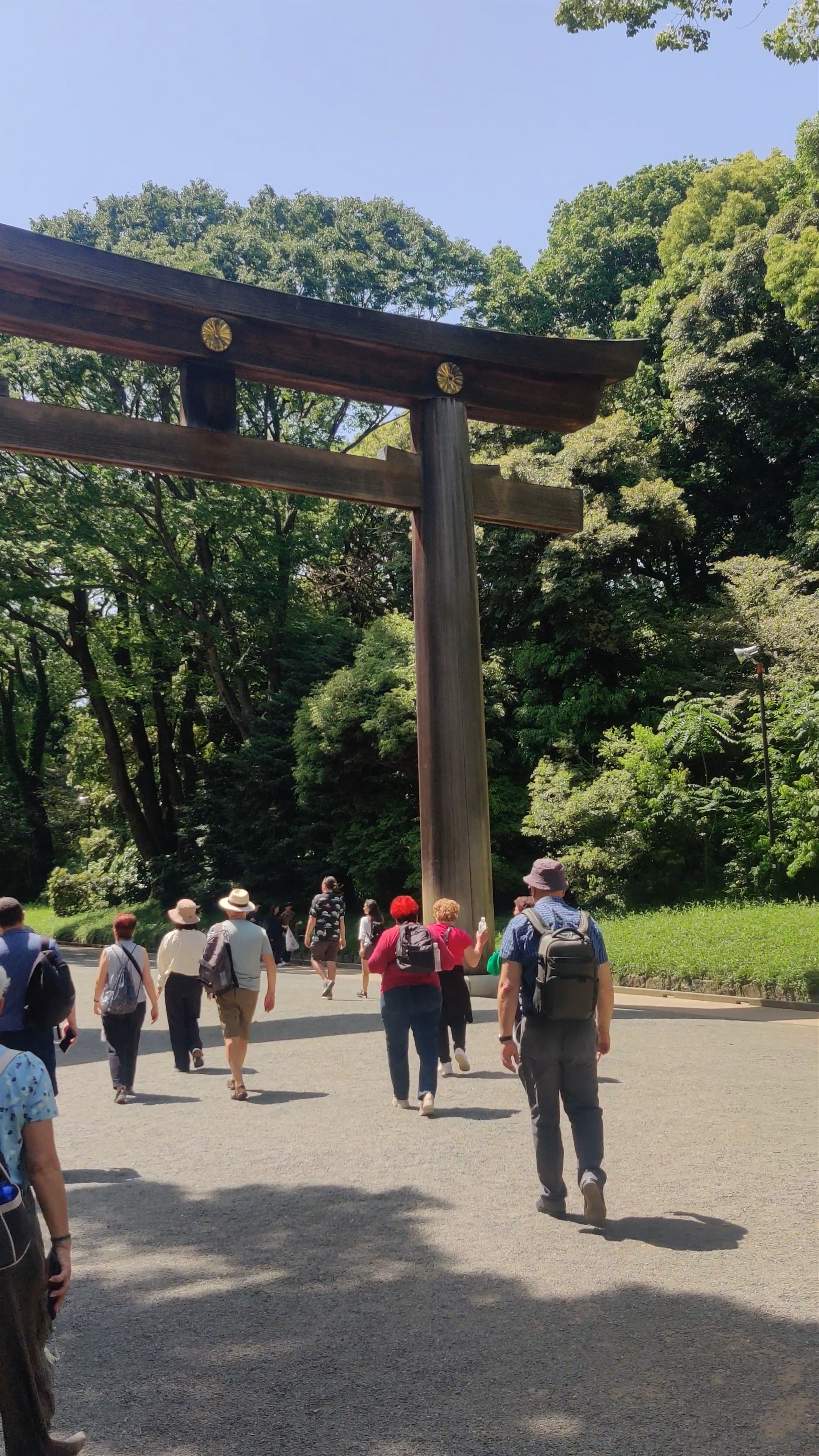 Meiji Jingu Nino Torii