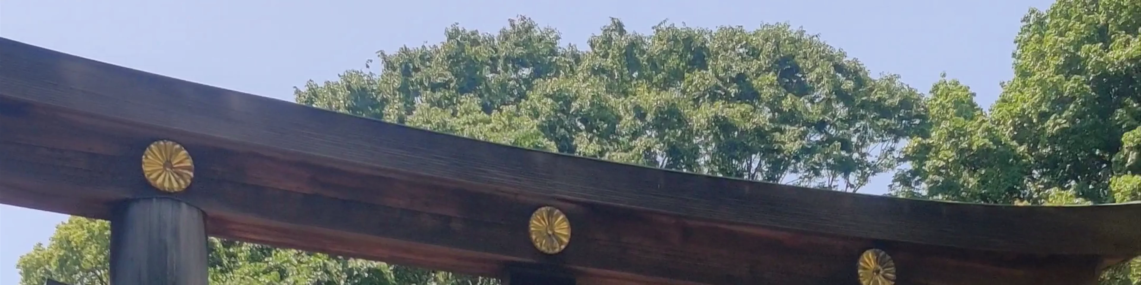Meiji Jingu Nino Torii