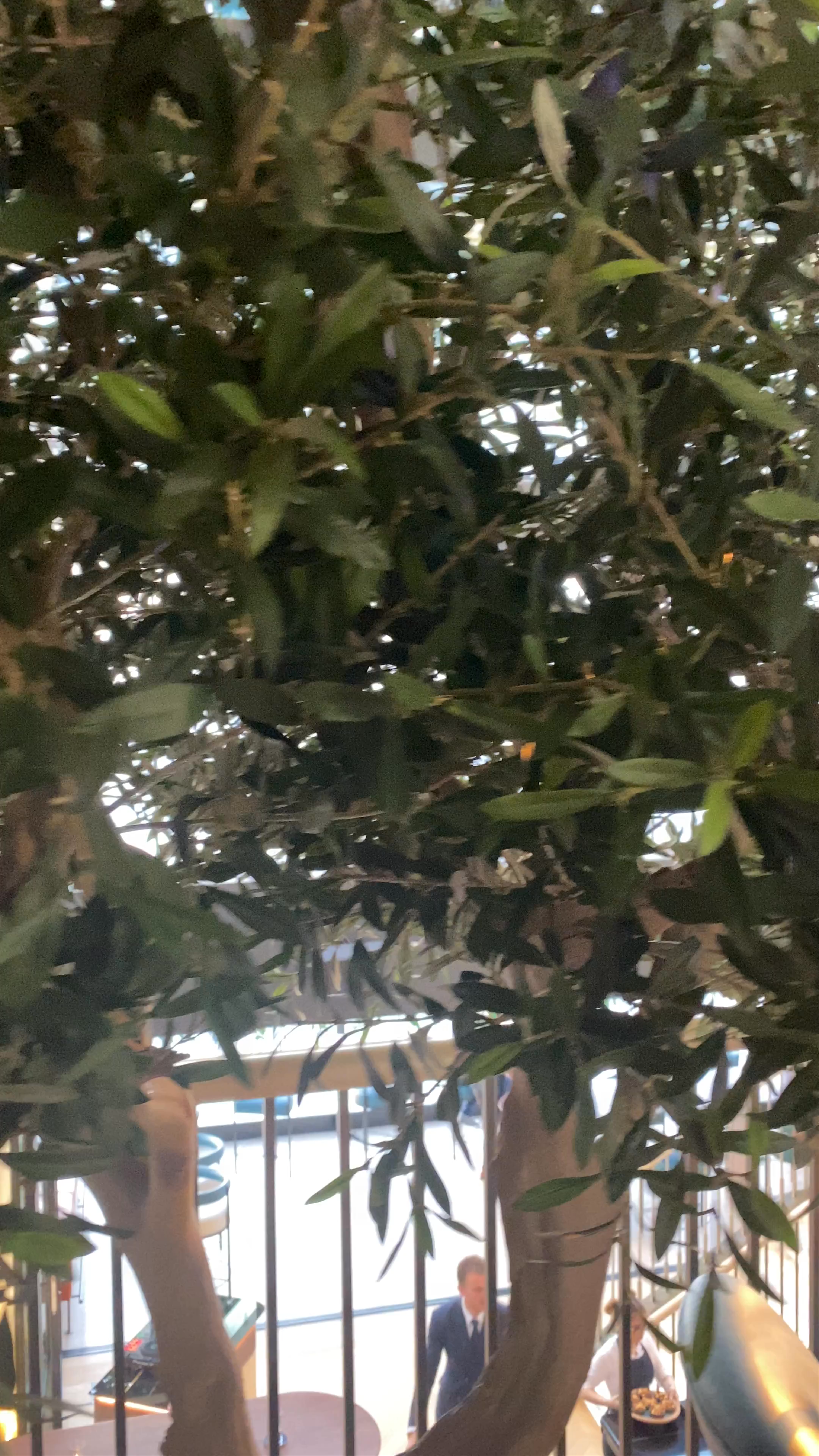 City Social - Al Emreef Street - Dubai - United Arab Emirates