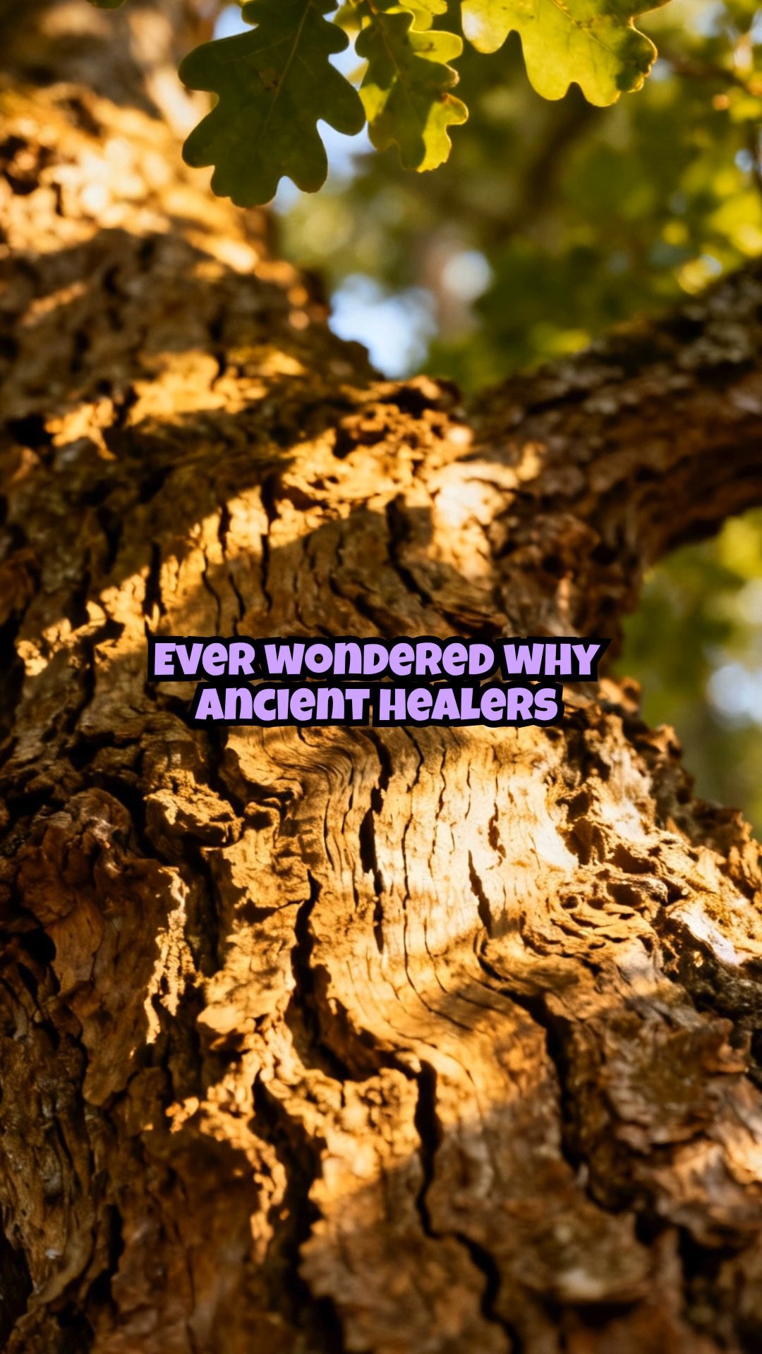 Day 1: Oak Bark's Ancient Healing for Gut and Skin Woes