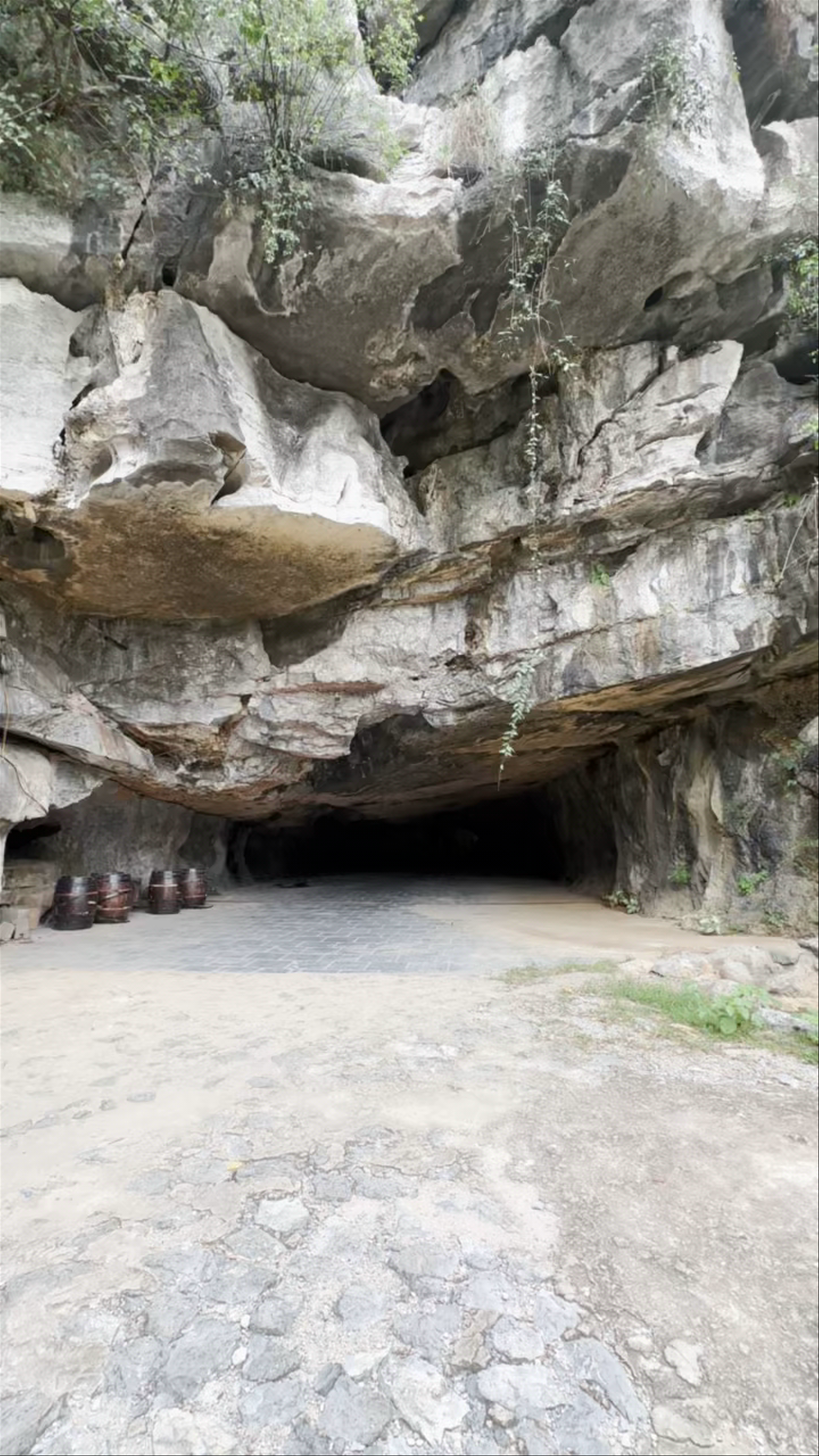 Hang Múa (Mua Caves)