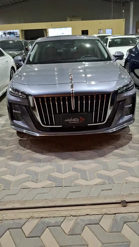 Hongqi Ousado luxury 2024