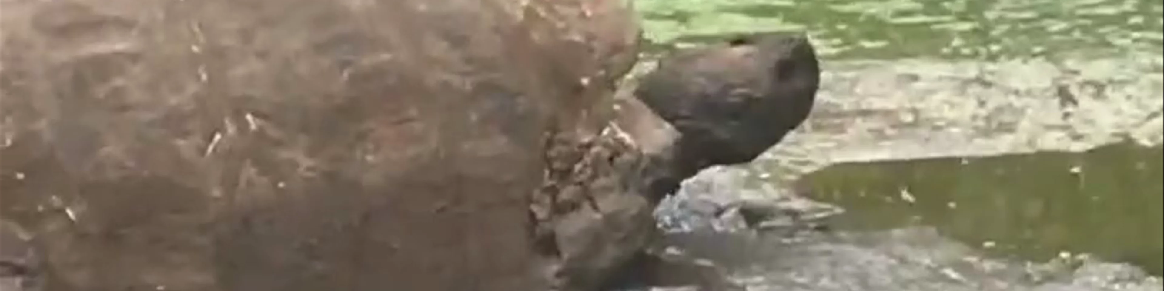 Parque Nacional Galápagos