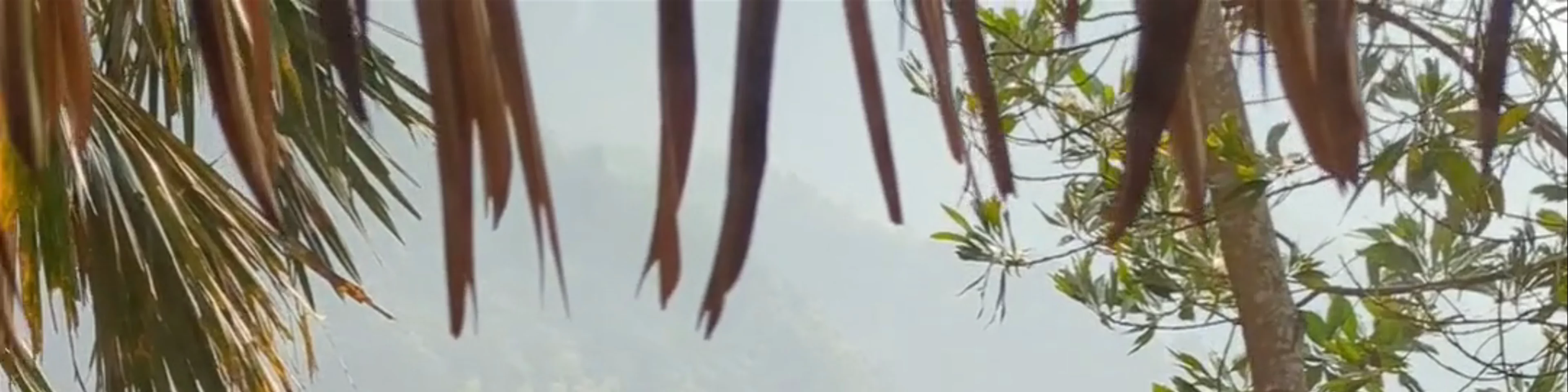 Duy Phuong Homestay