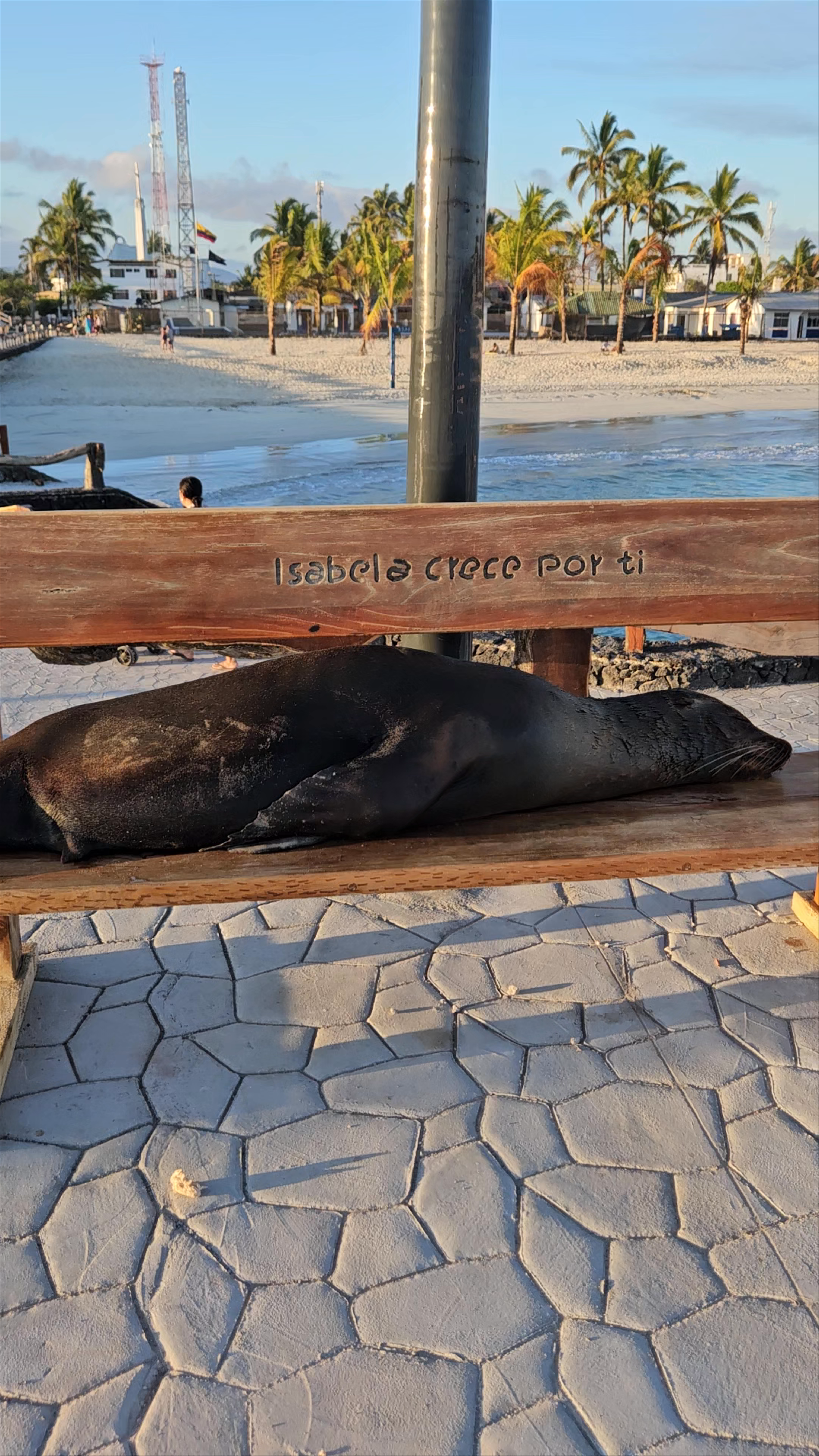 Malecón de Puerto Villamil