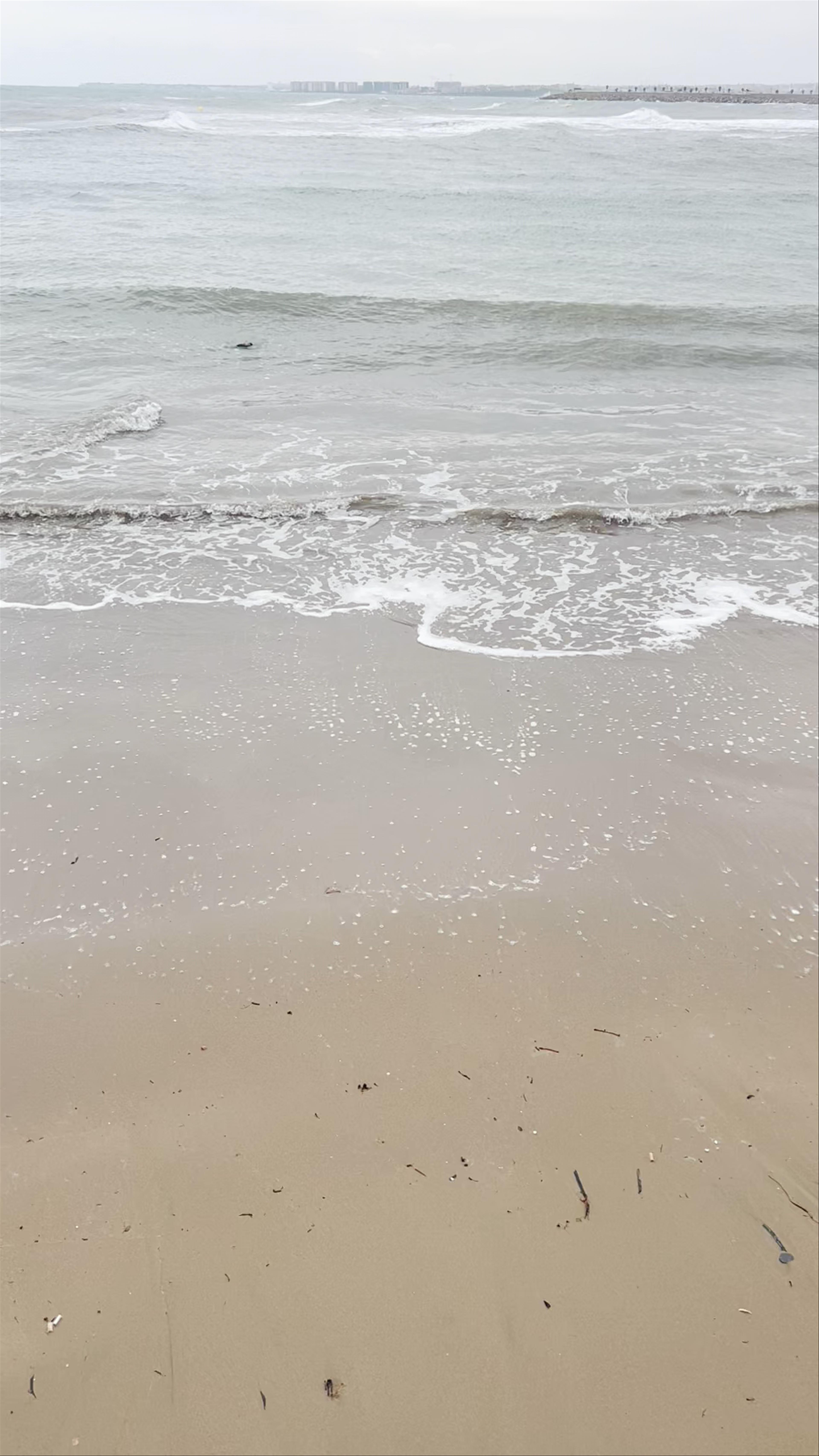 Serene Coastal Moments at Playa del Cura, Torrevieja