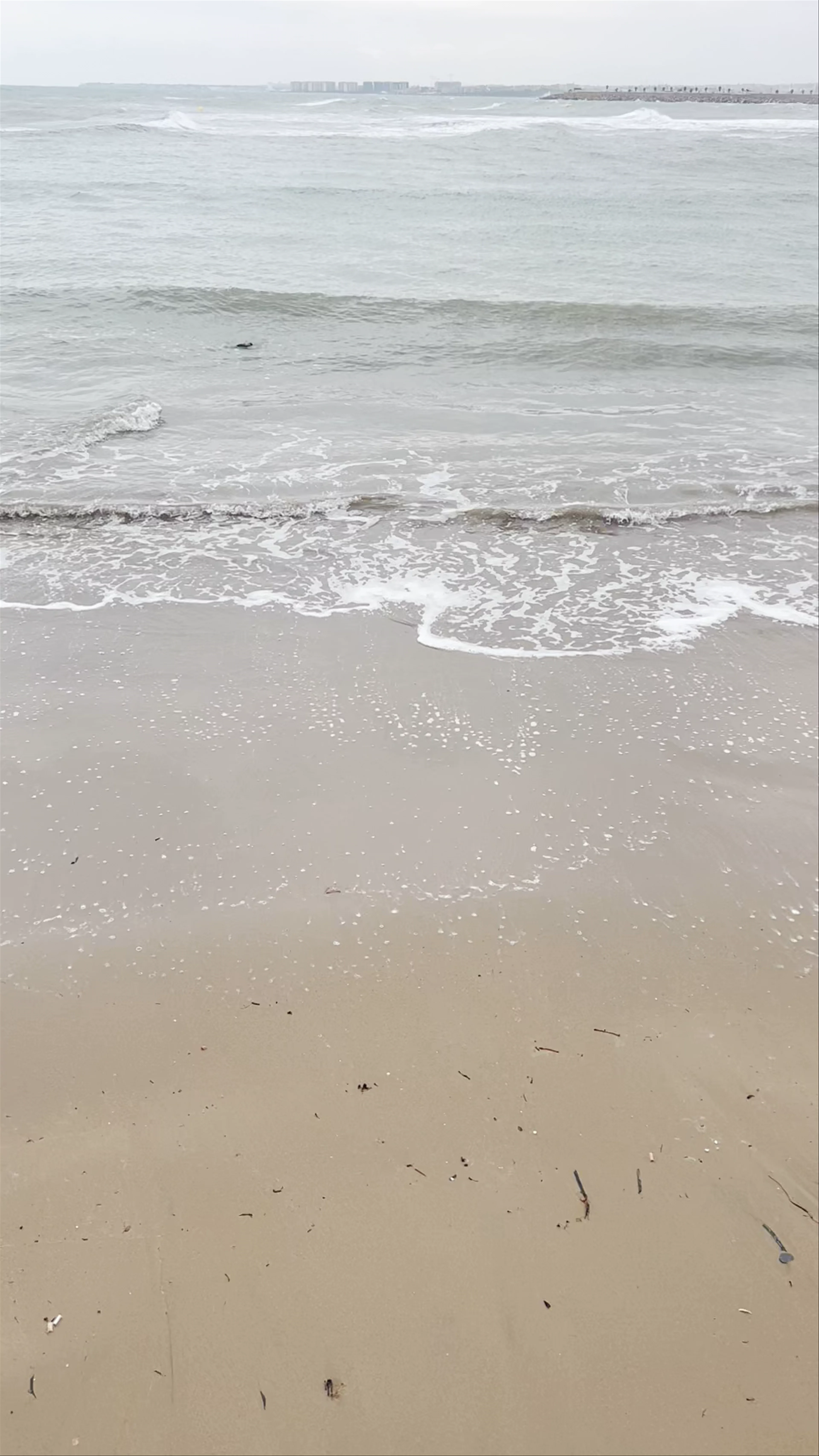 Playa del Cura, Torrevieja
