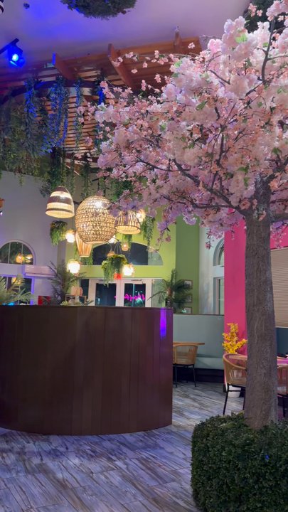 Margarita Island Mexican Kitchen & Bar - Rockledge/Viera - Mexican Near Me - Rockledge, Florida