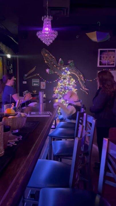 The Margaret - Pets welcome.  Great ambiance. - Cocktail Bars Near Me - Birmingham, Alabama