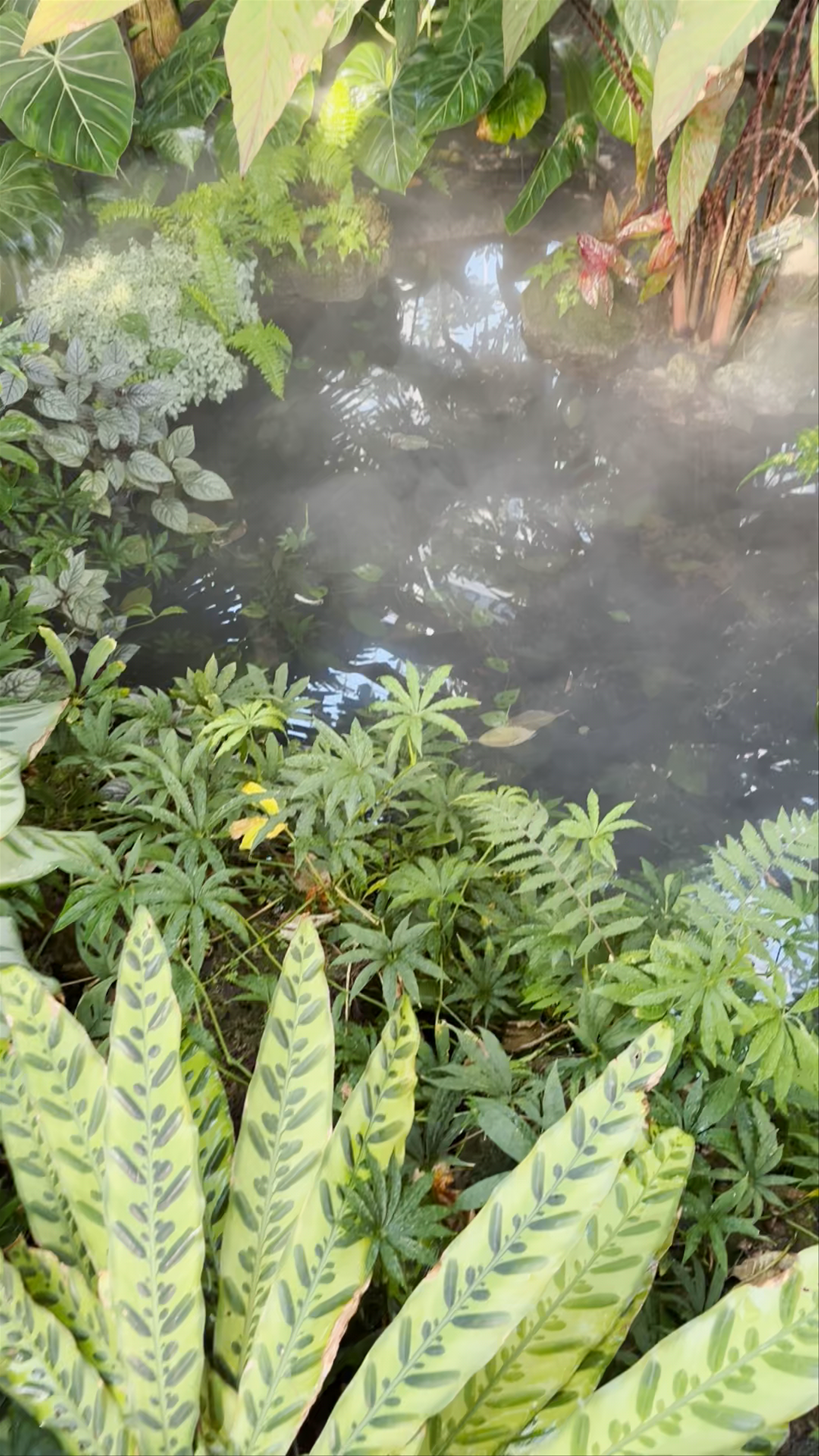 Jardín Botánico de los Estados Unidos