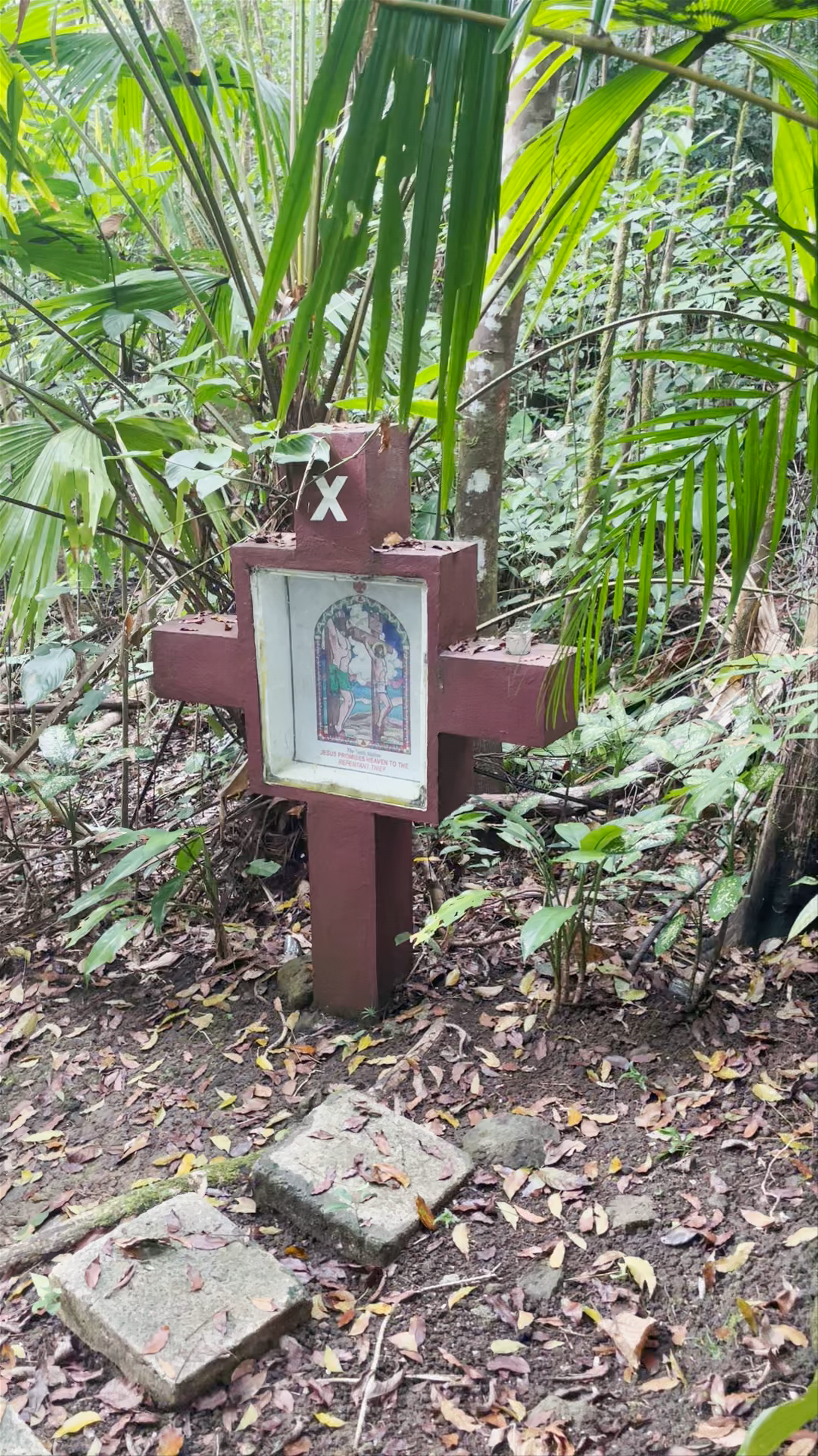 Mt. Bandilaan National Park