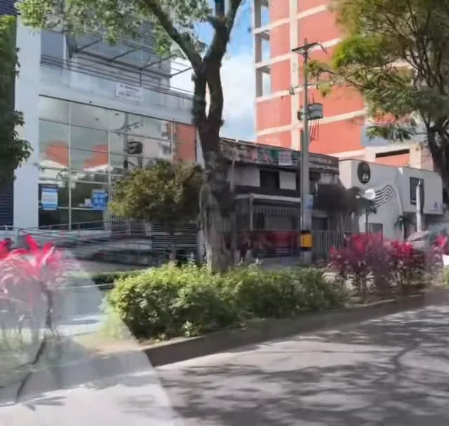 Contenido del creador