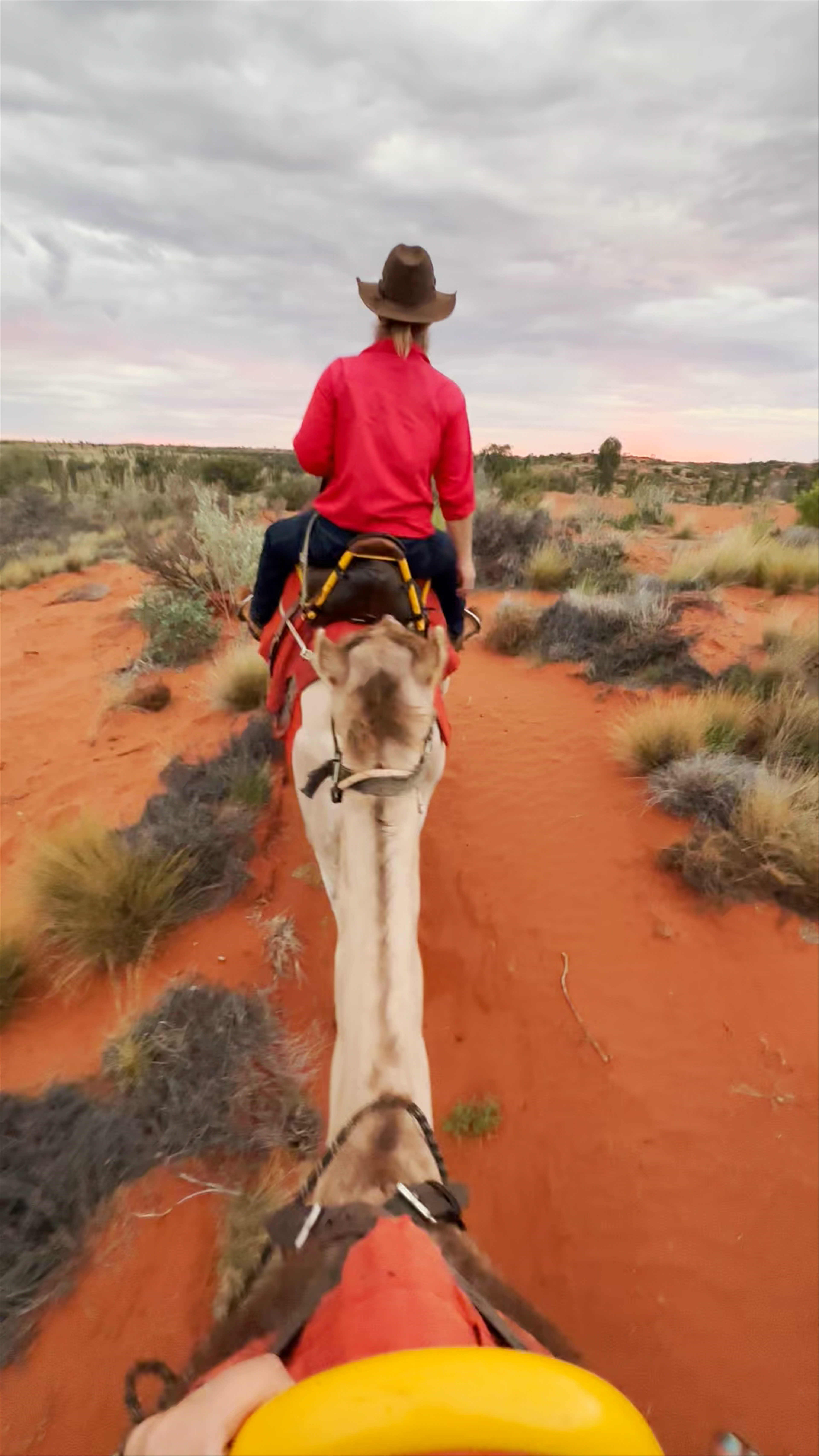 Uluru Camel Tours