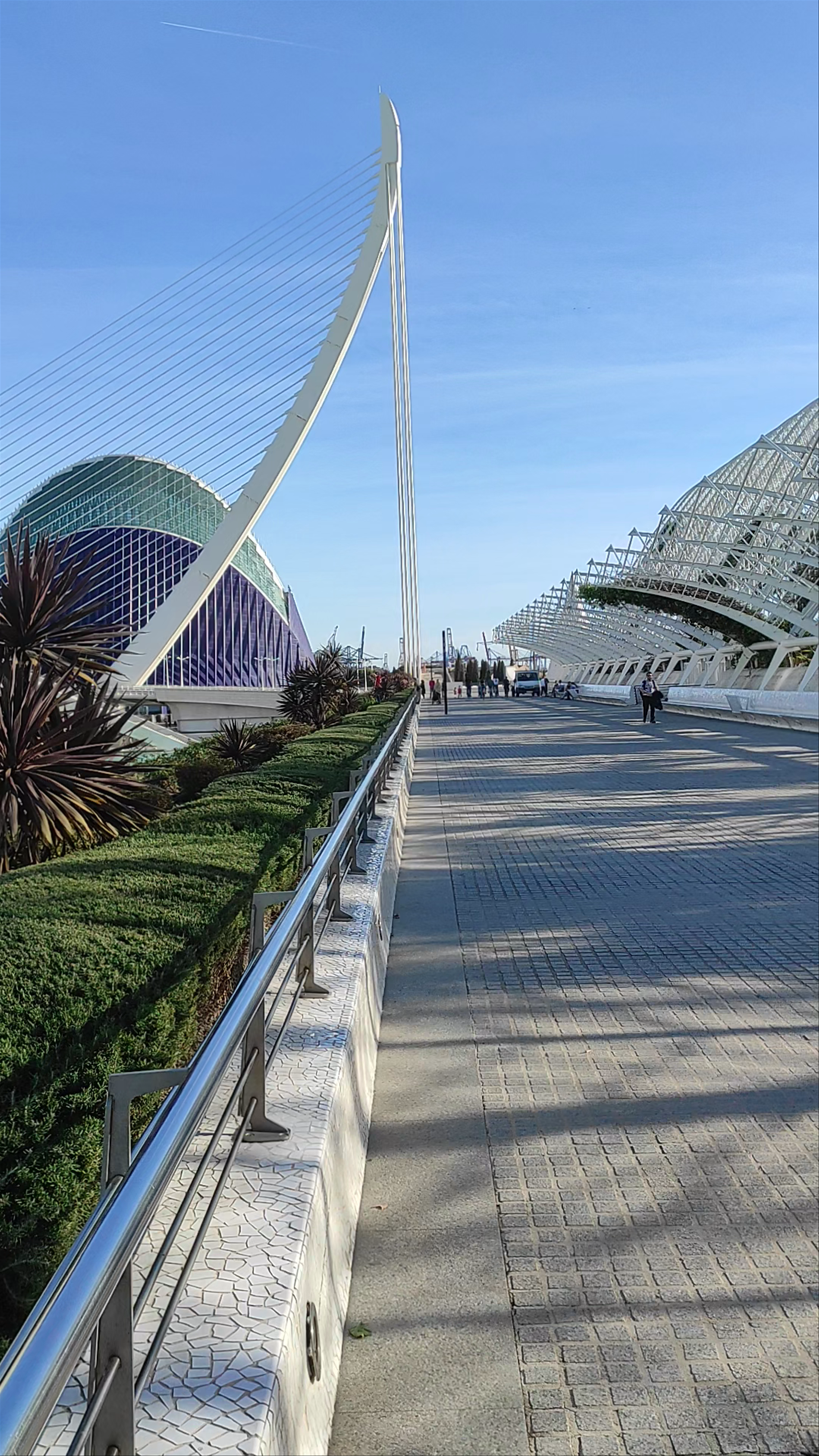 Museu de les Ciències Príncipe Felipe