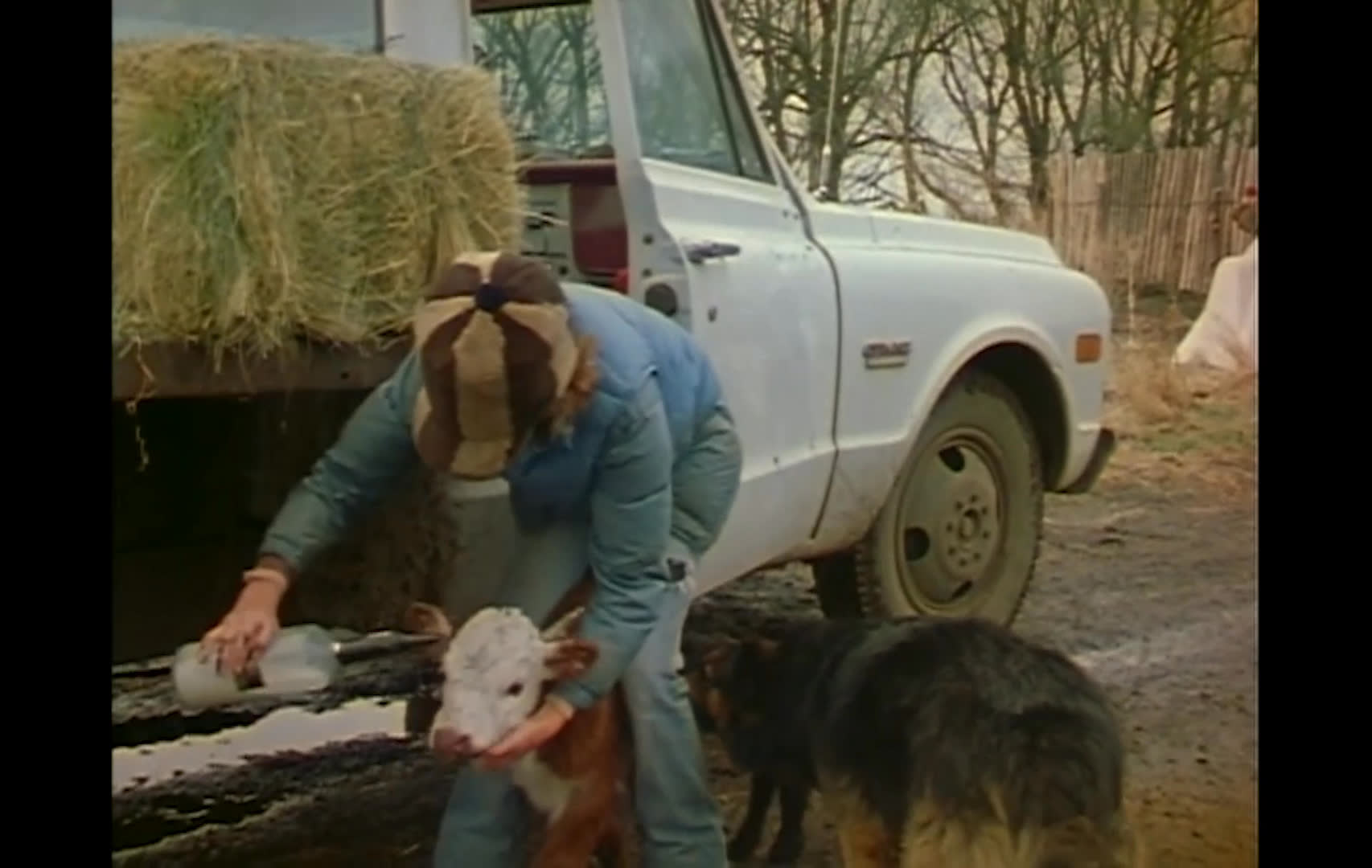 A rancher tends a calf beside a hay-loaded pickup, then walks among livestock and ranch dogs across an open pasture. The narration explains that low returns and uncertainty over federal land management are leading young people to seek more stable careers than ranching.