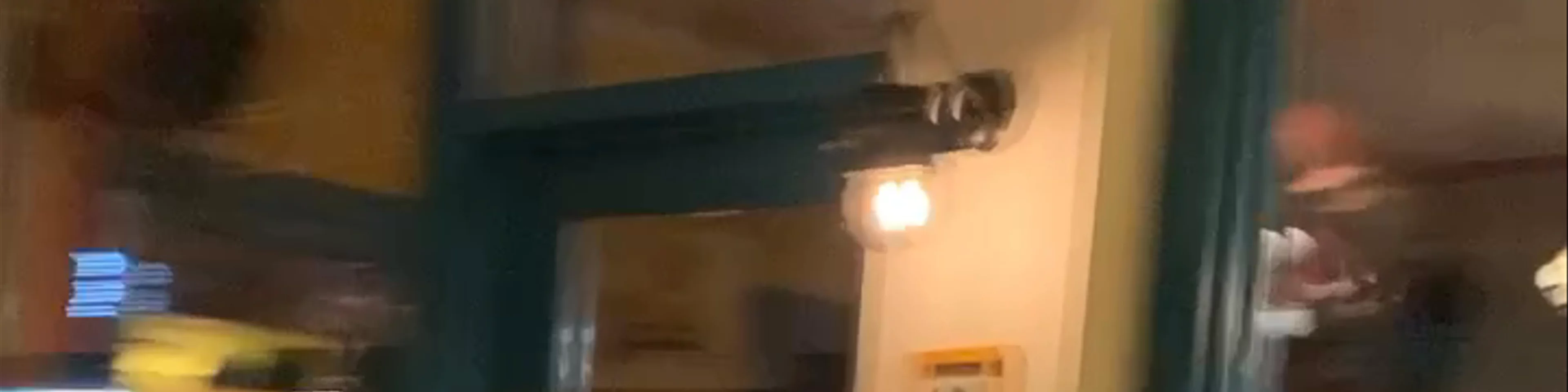 Bátrachos