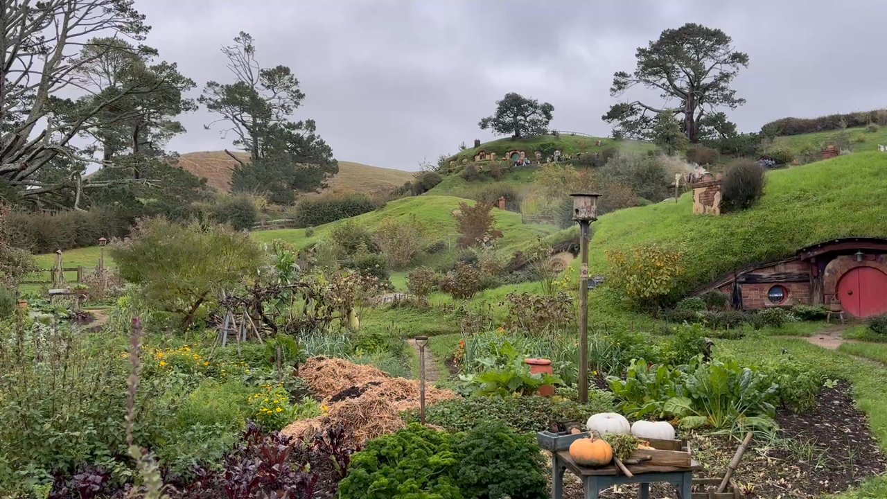 Hobbiton - Can't even describe how magical this was - Tours Near Me - Matamata, WKO