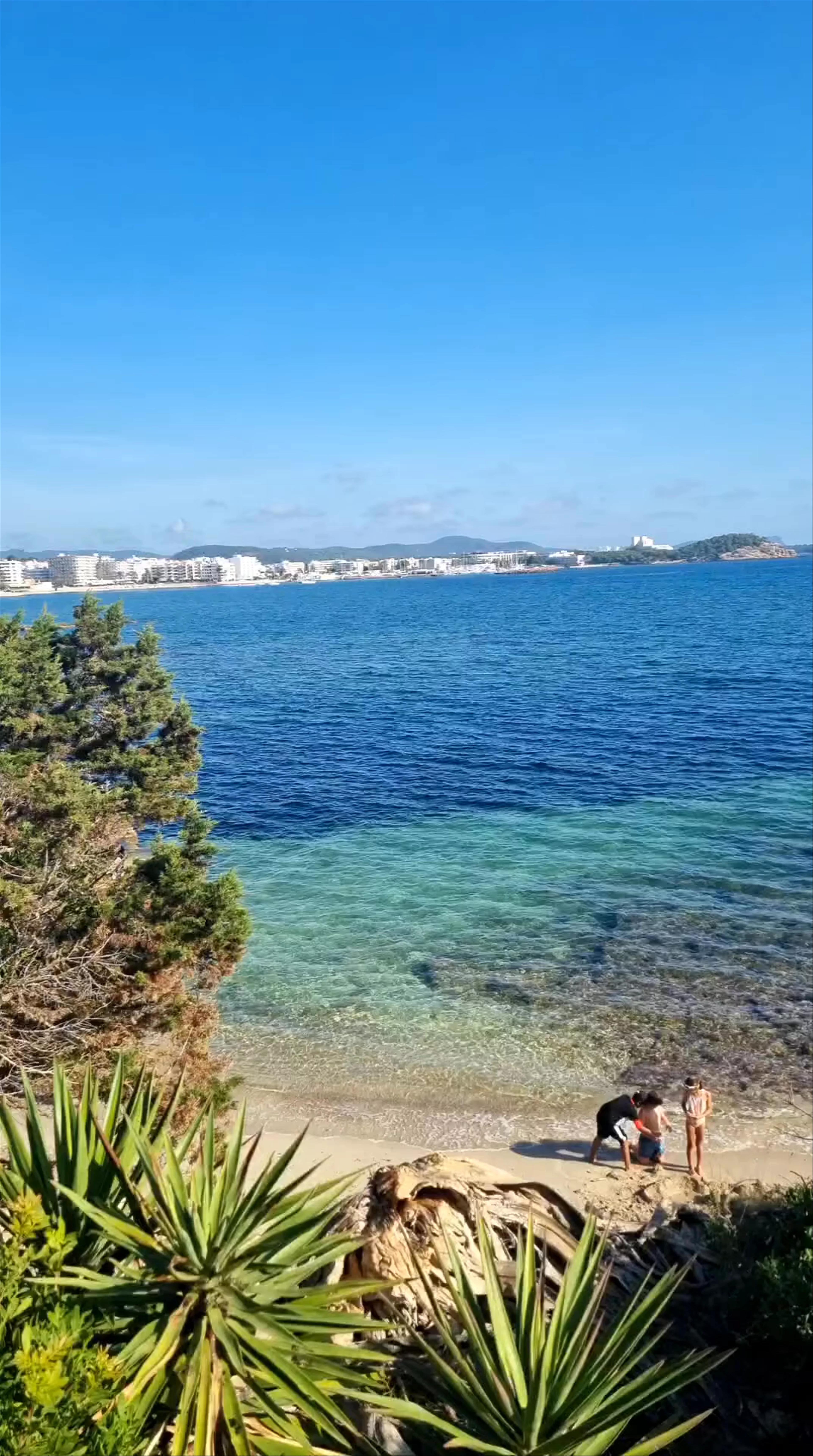 Caló de s'Alga beach bar