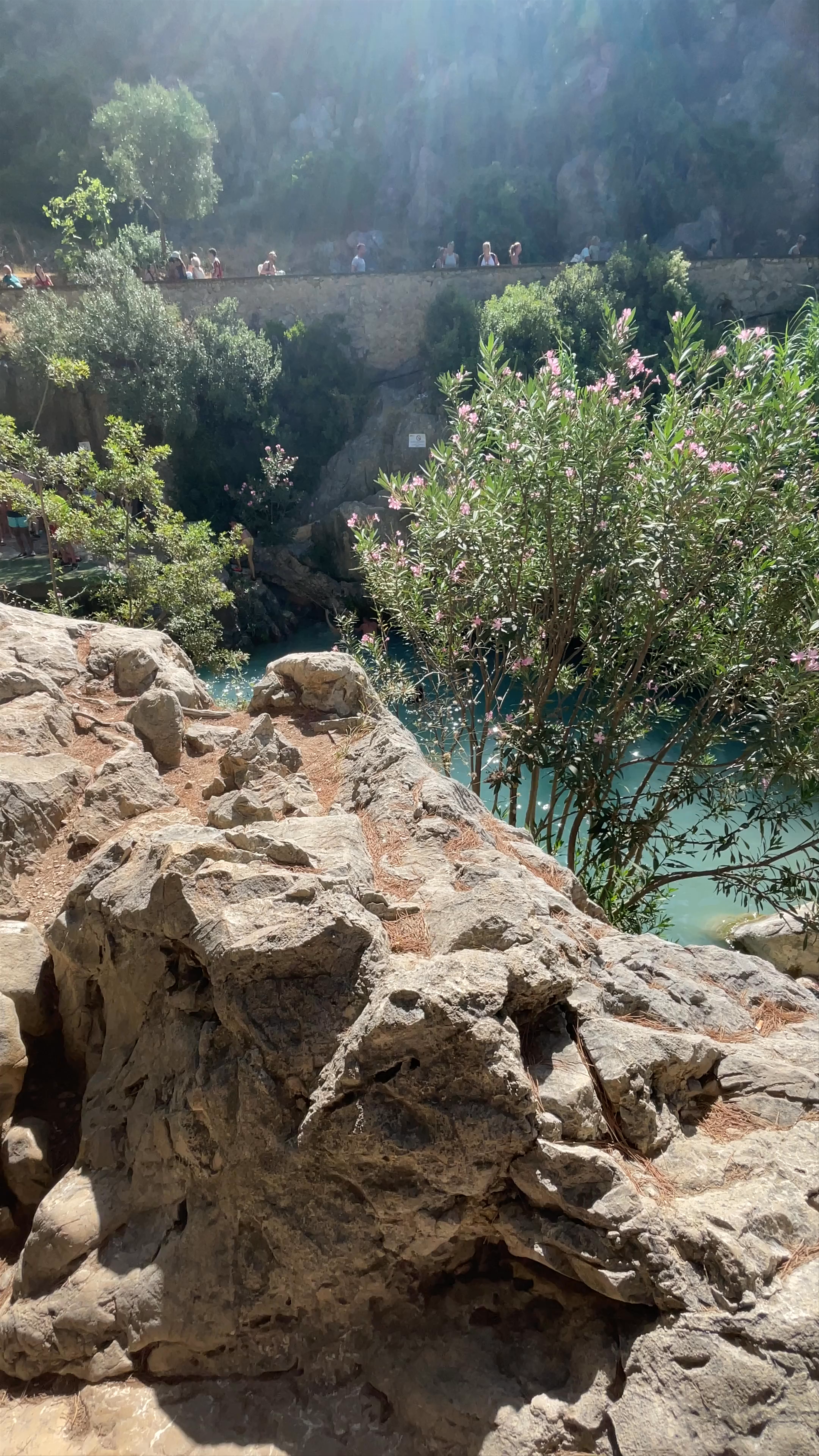 Fonts de l'Algar