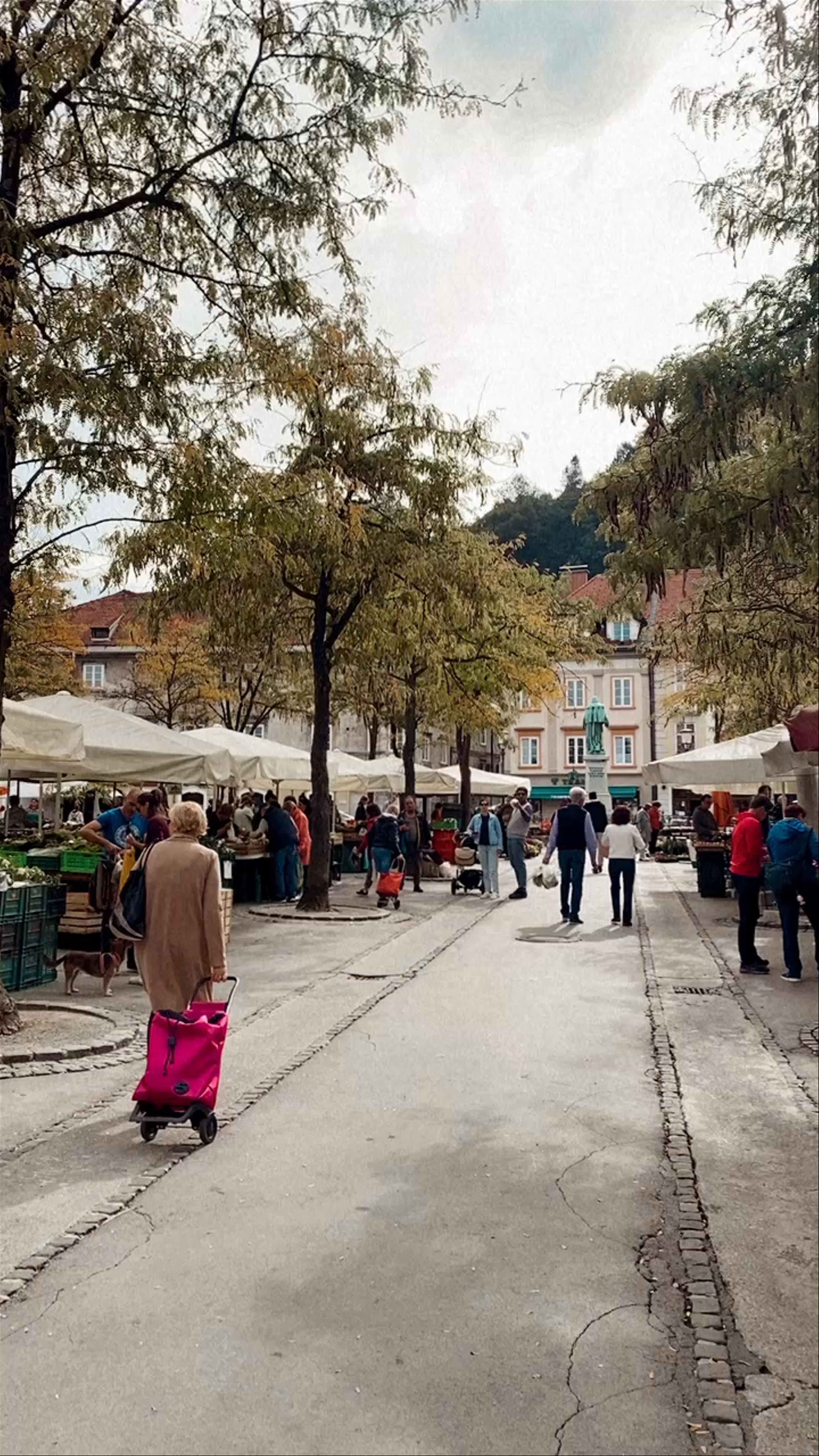 Ljubljana Central Market: Authentic Taste of Slovenia’s Capital