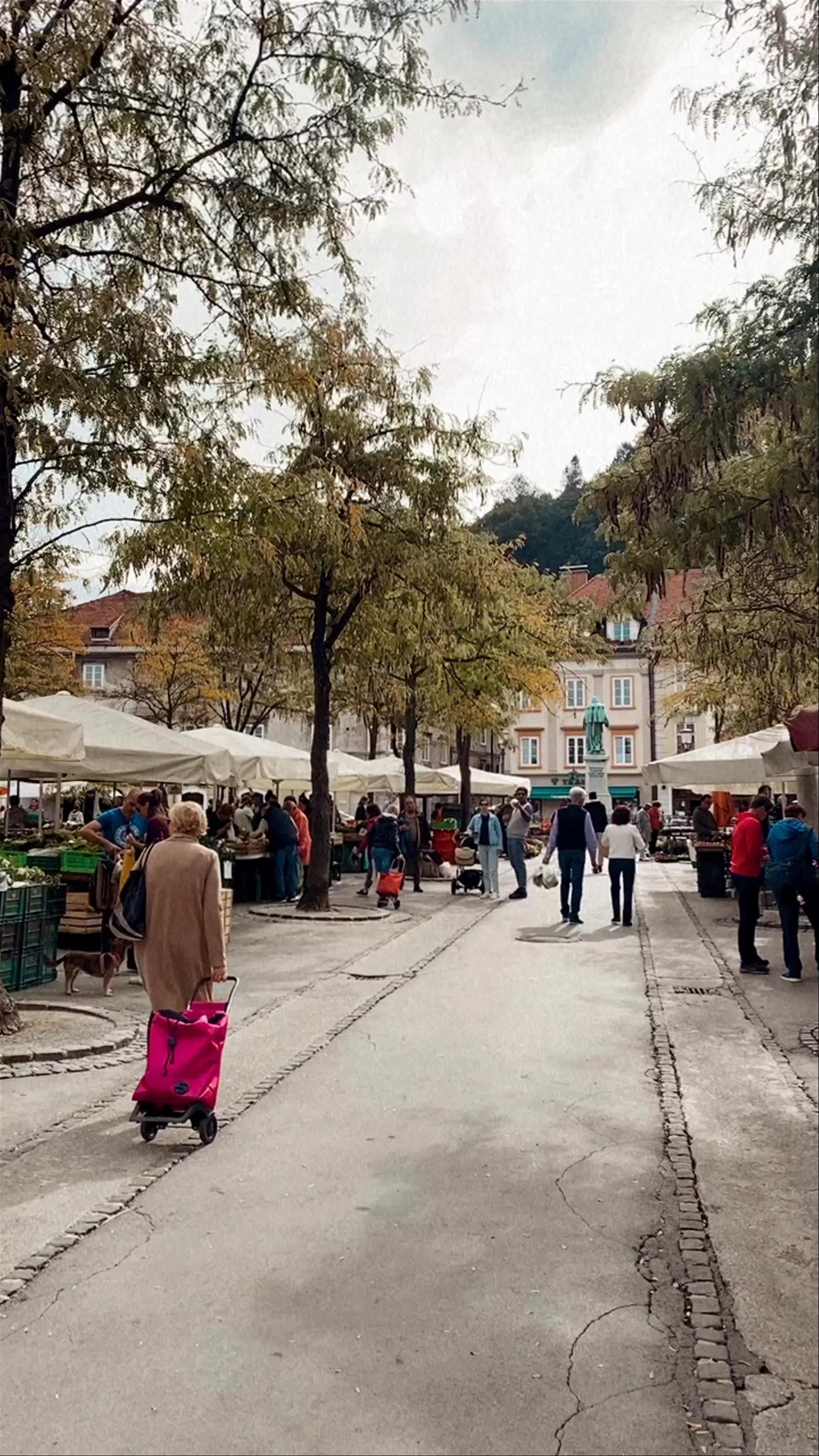 Ljubljana Central Market, Ljubljana, Slovenia