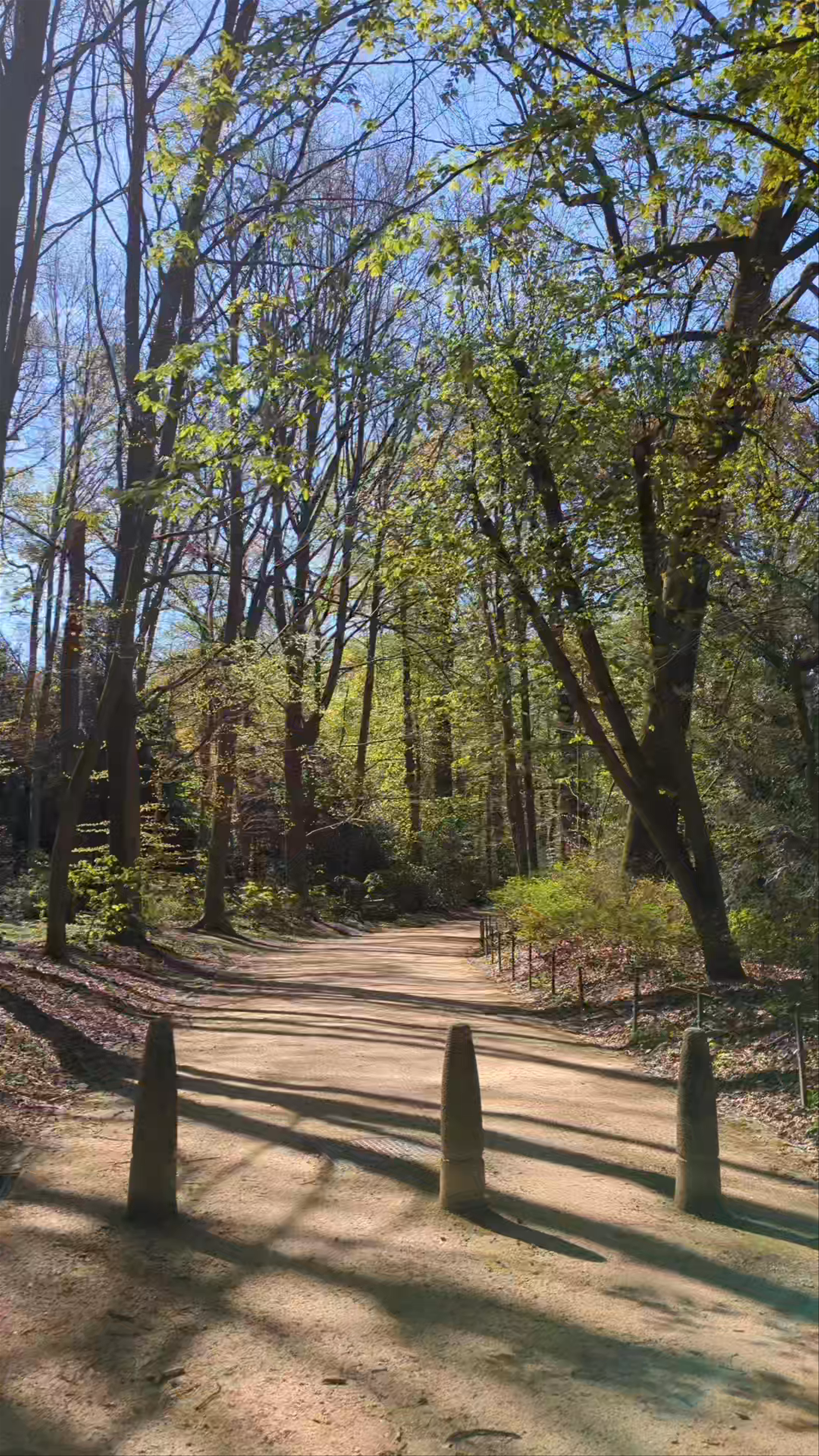 Bois de la Cambre