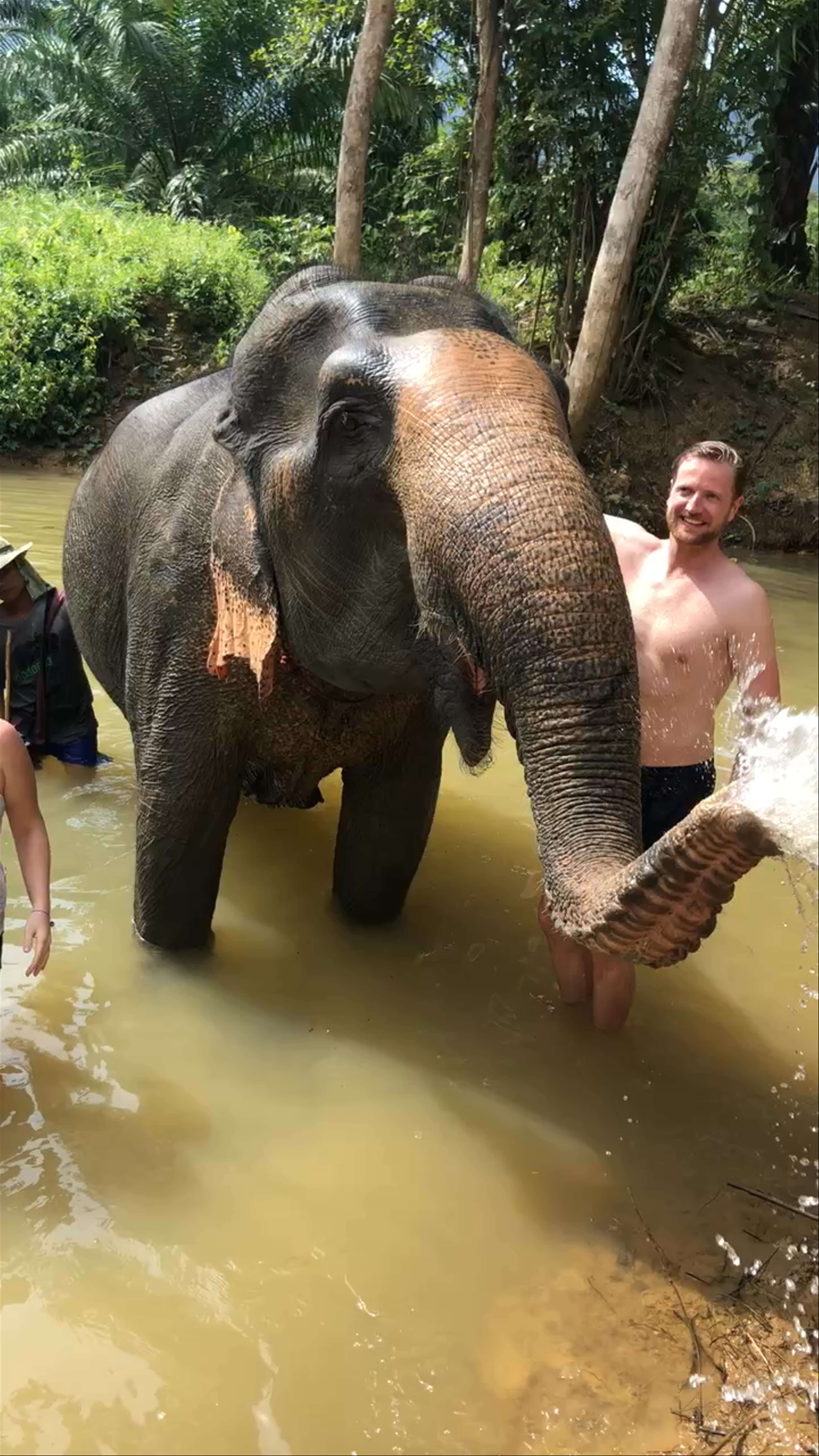 Khao Sok Elephant Sanctuary: Intimate Wildlife Encounter in Thailand