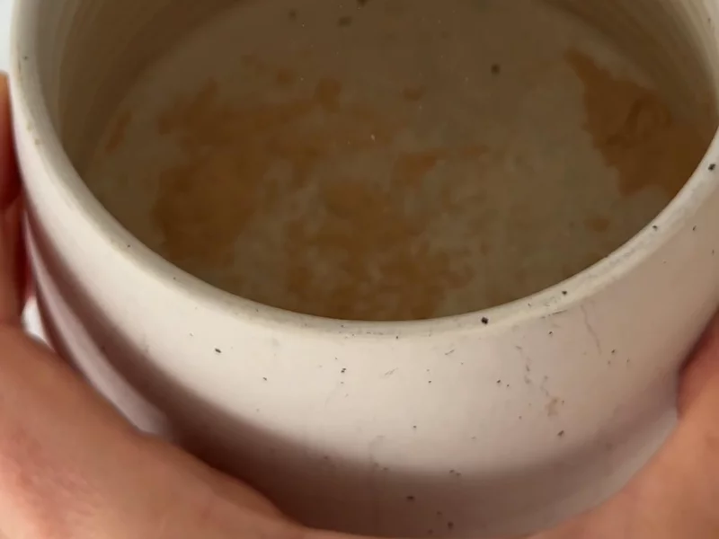 Shoku Iku - Digestive Blend