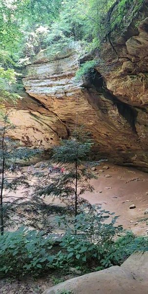 Photo of FAM BAM HOCKING HILL