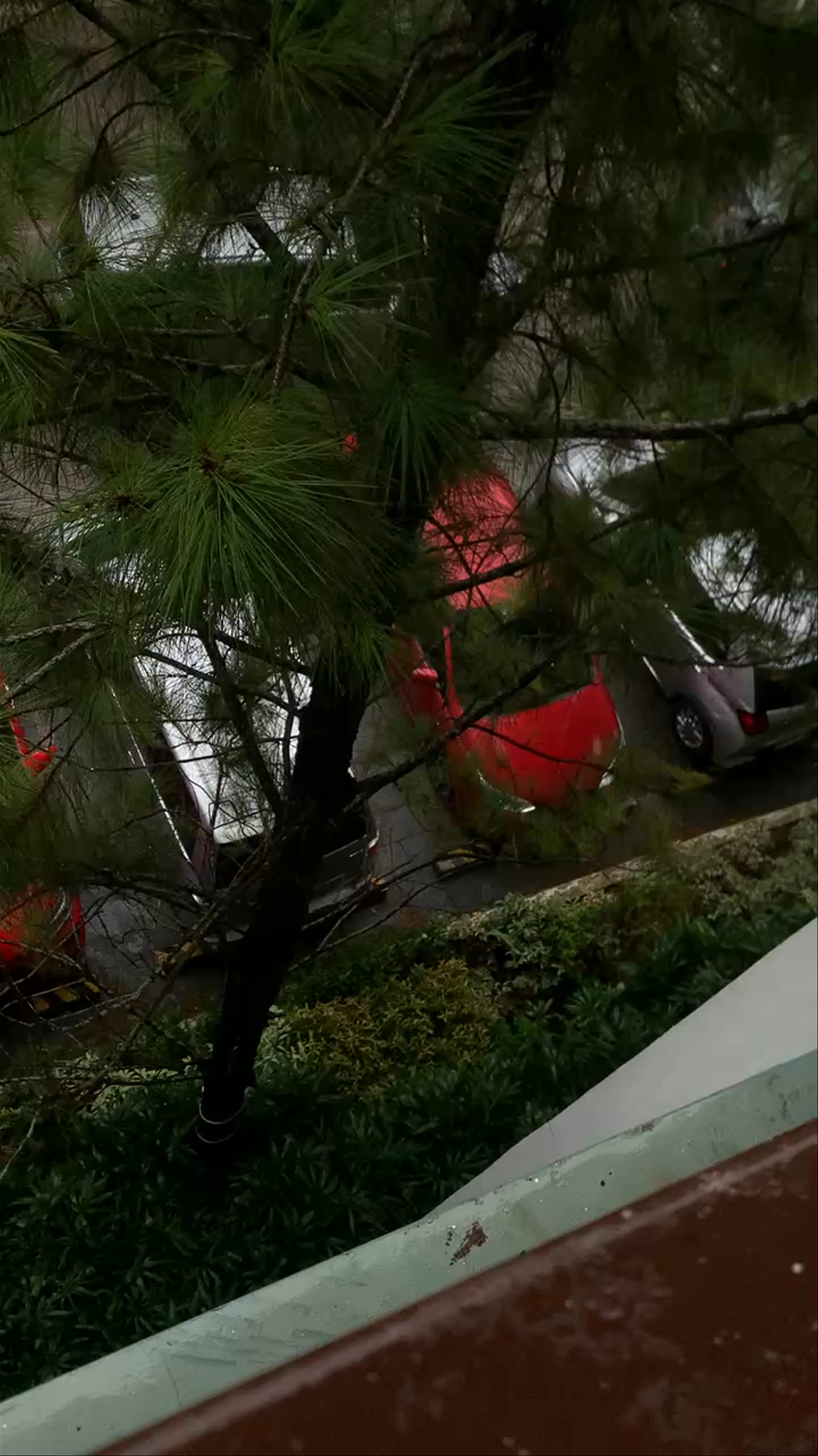 Pine Suites Tagaytay by Crown Asia | RFO Condo in Tagaytay