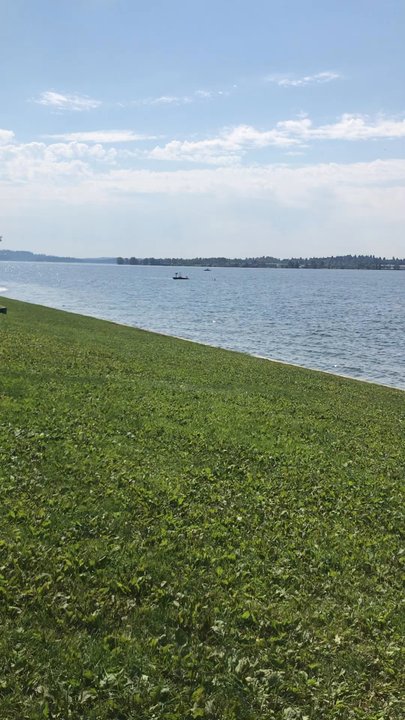 Lake Washington - Lakes Near Me