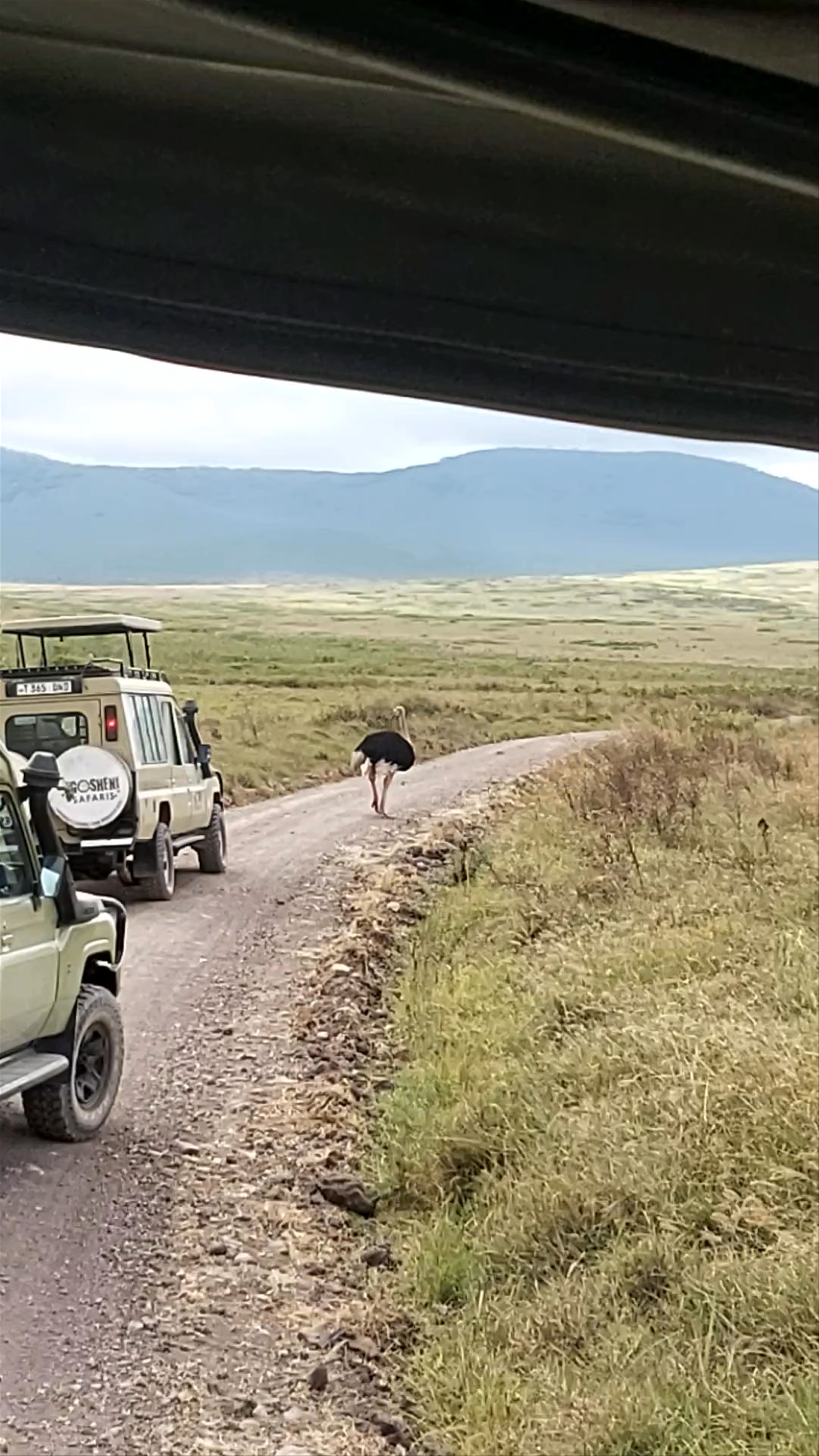 Ngorongoro Crater